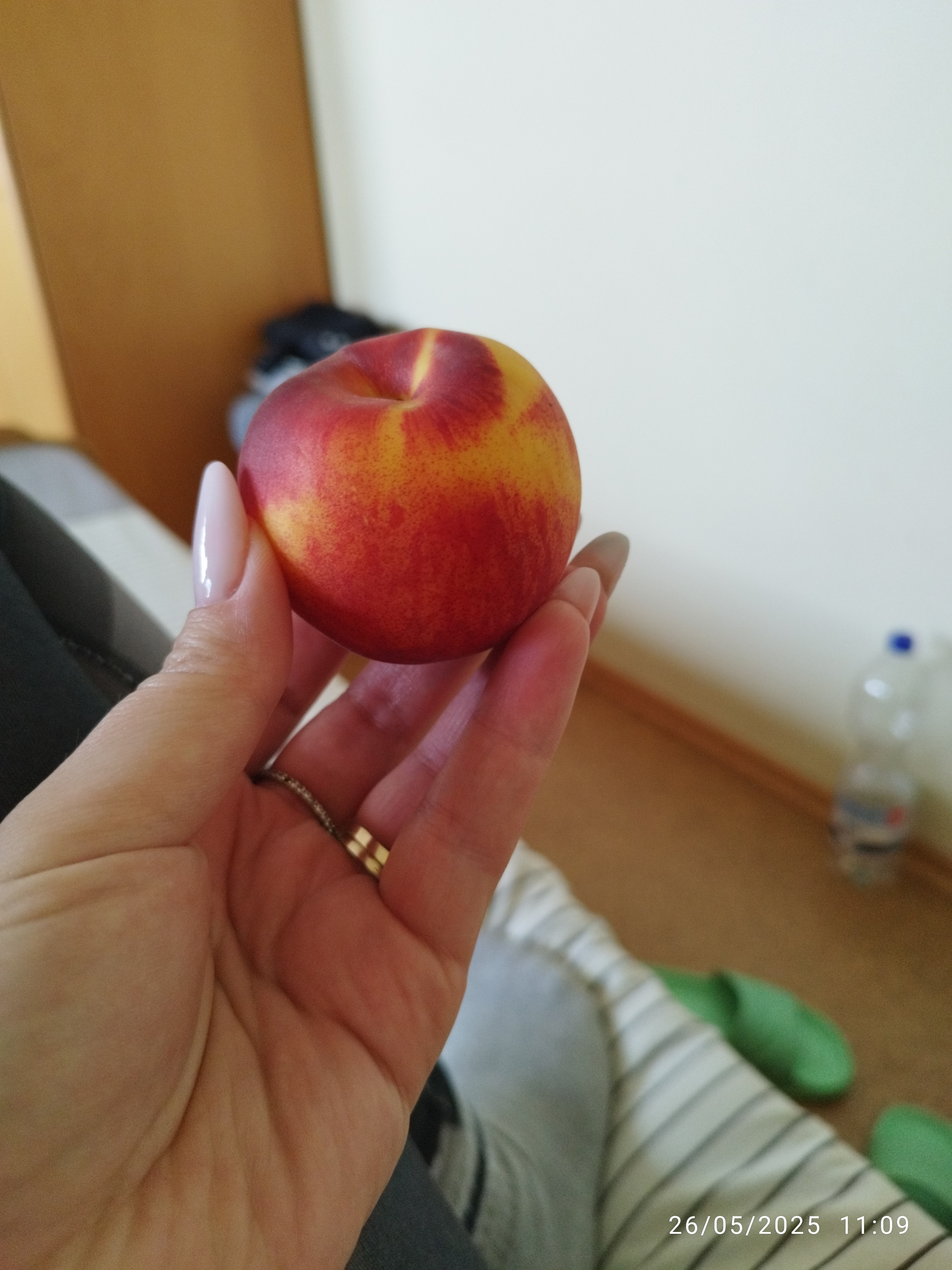 Fresh nectarine