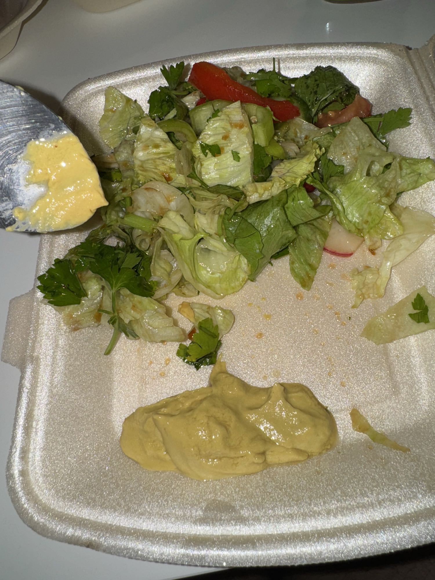 Gemischter Salat mit Hummus