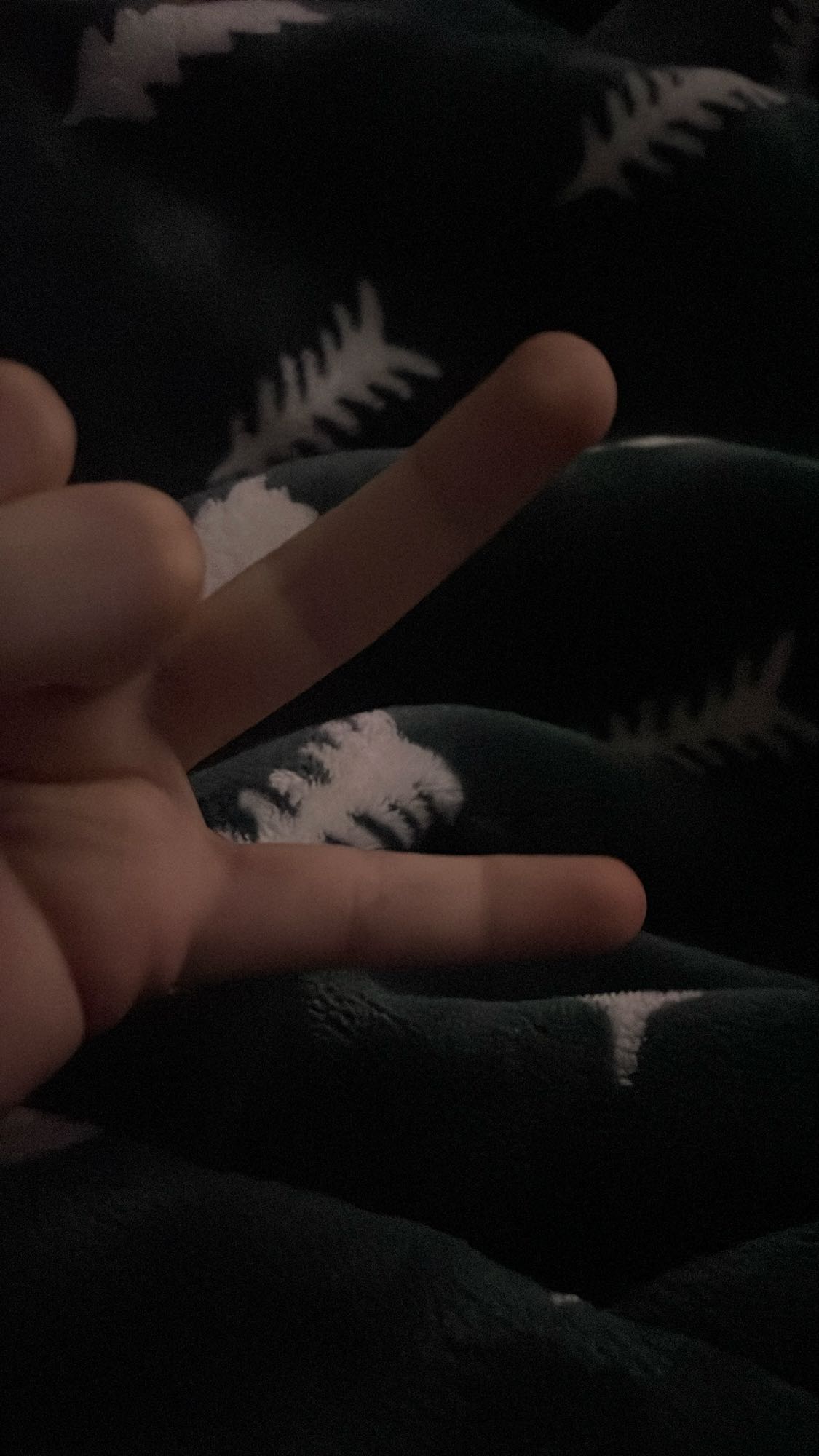 ninguna comida visible