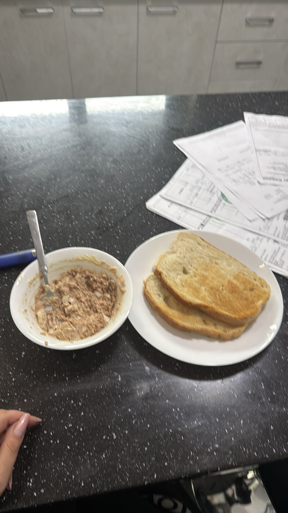 Pâine prăjită cu ton