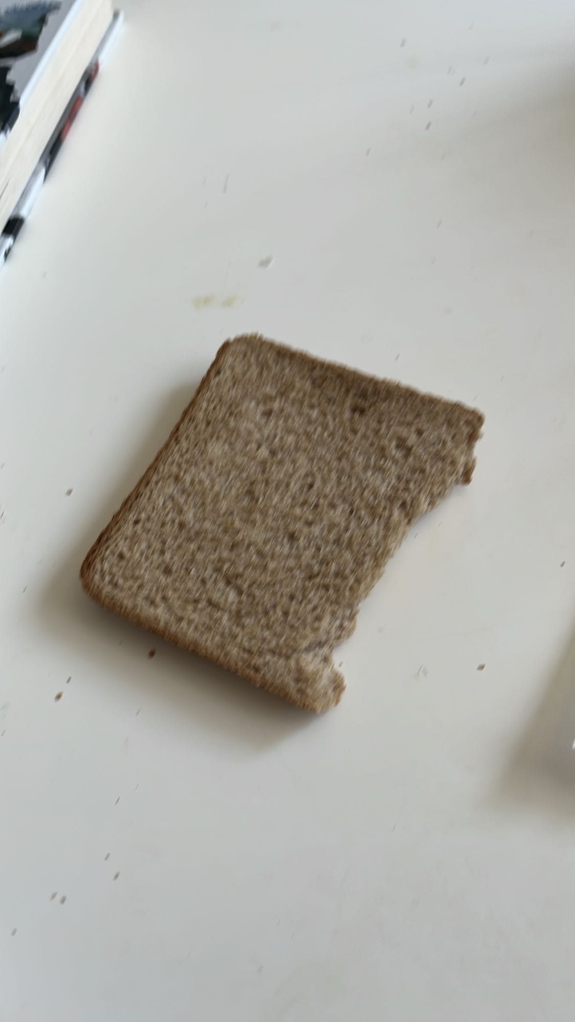 rebanada de pan integral