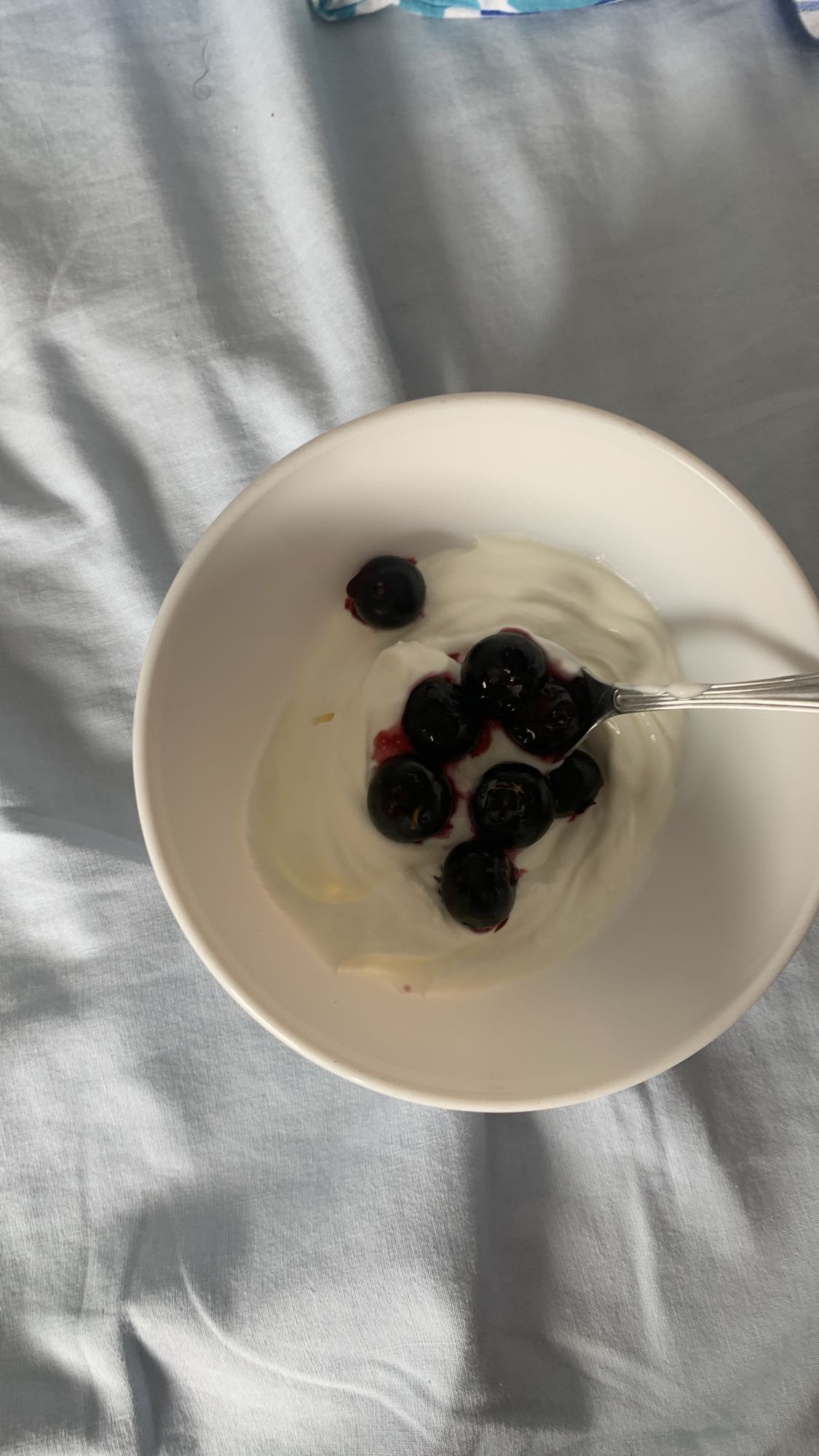 yogur con arándanos