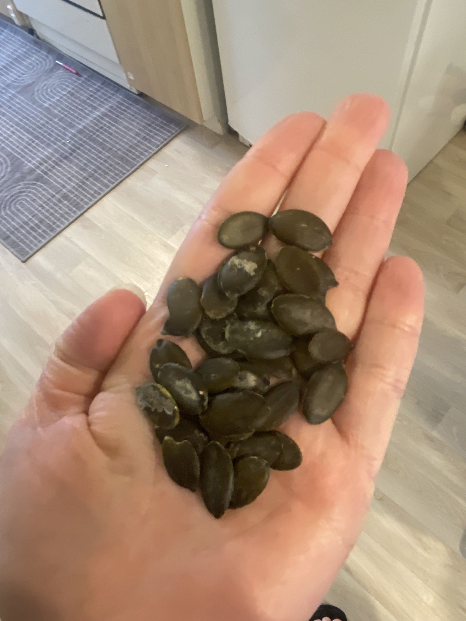 بذور اليقطين