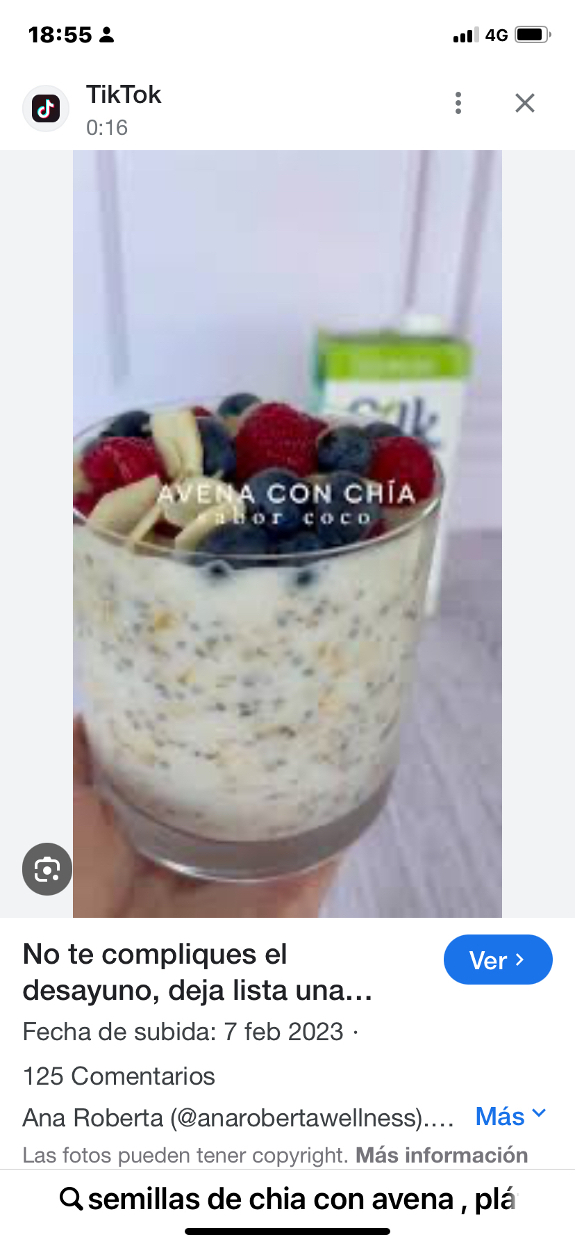 Avena con chía y frutas