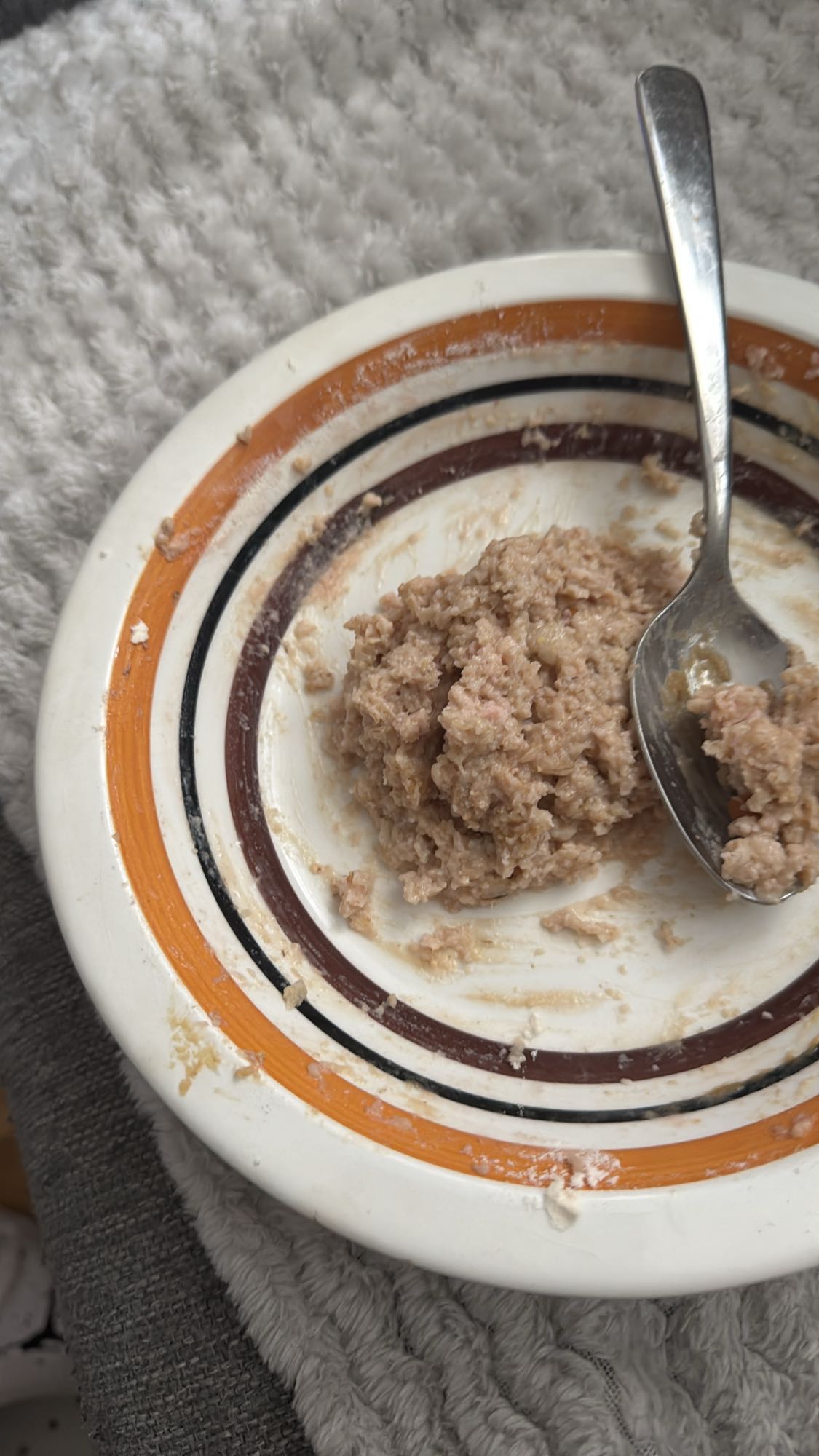 Havregrynsgröt med tonfisk