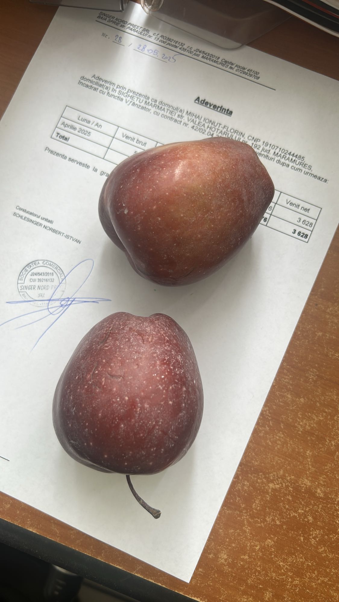 Prune roșii proaspete