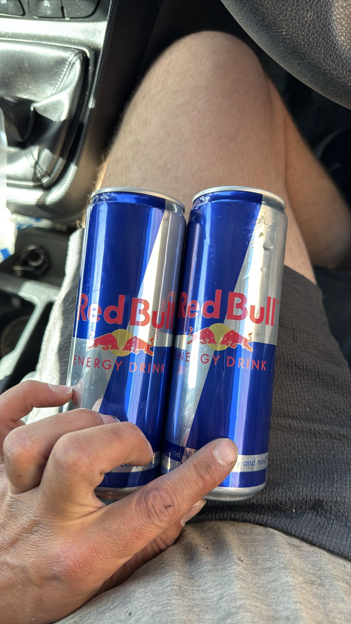Red Bull Energy Drink