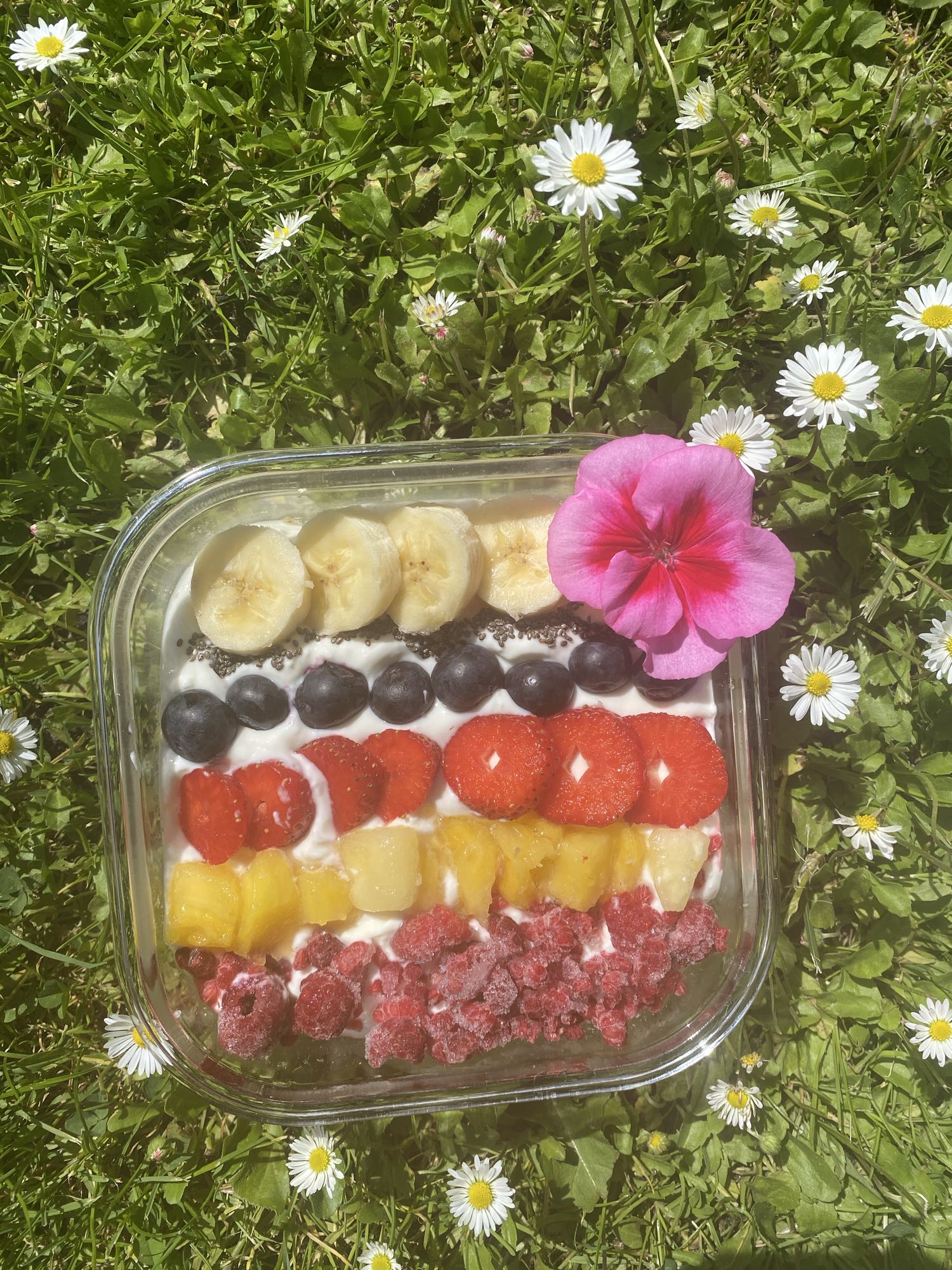 Owocowa miska jogurtowa