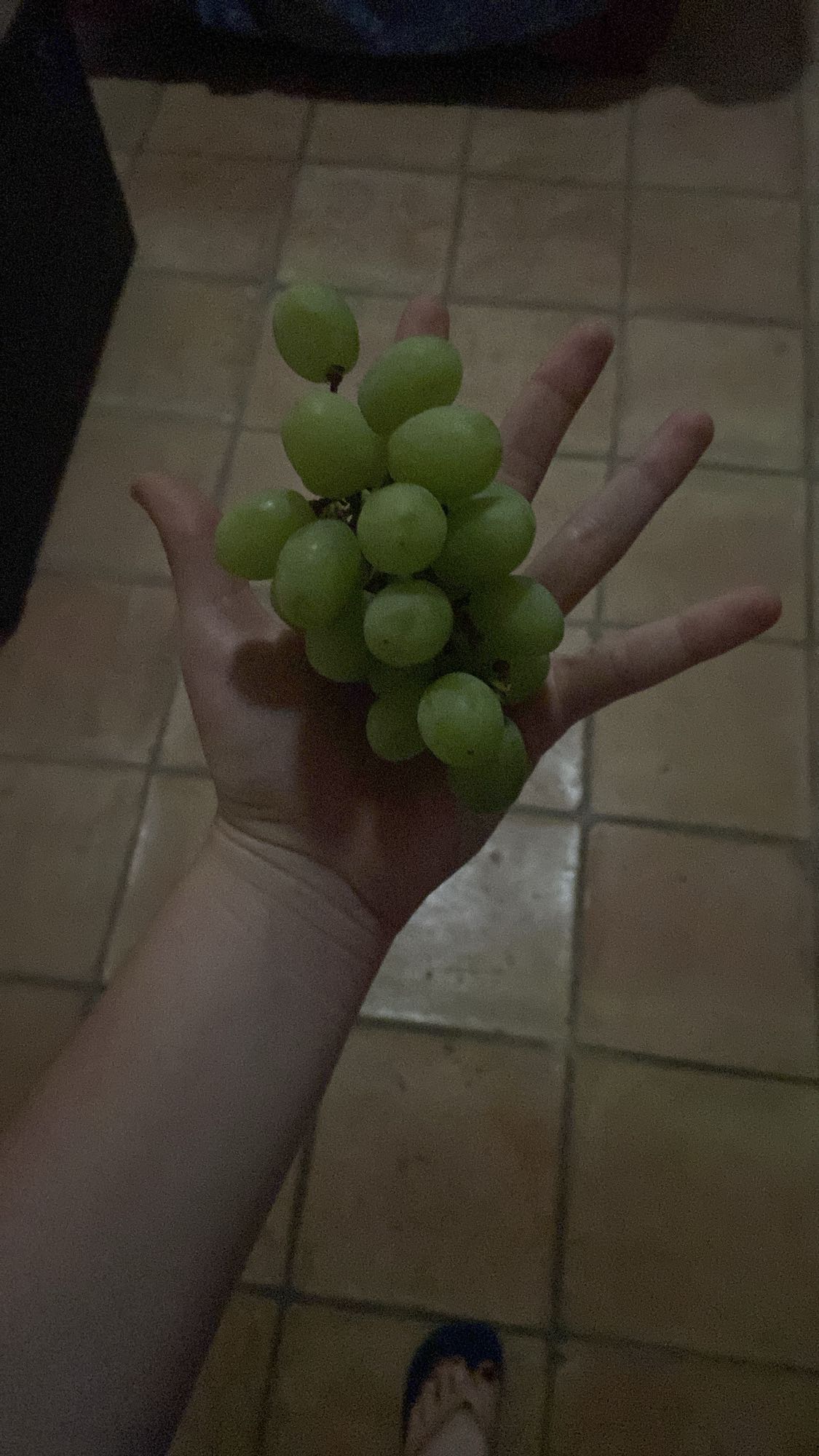 Racimo de uvas verdes