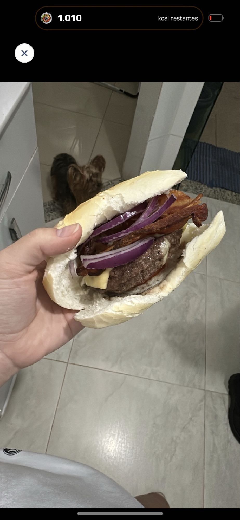 Hambúrguer artesanal