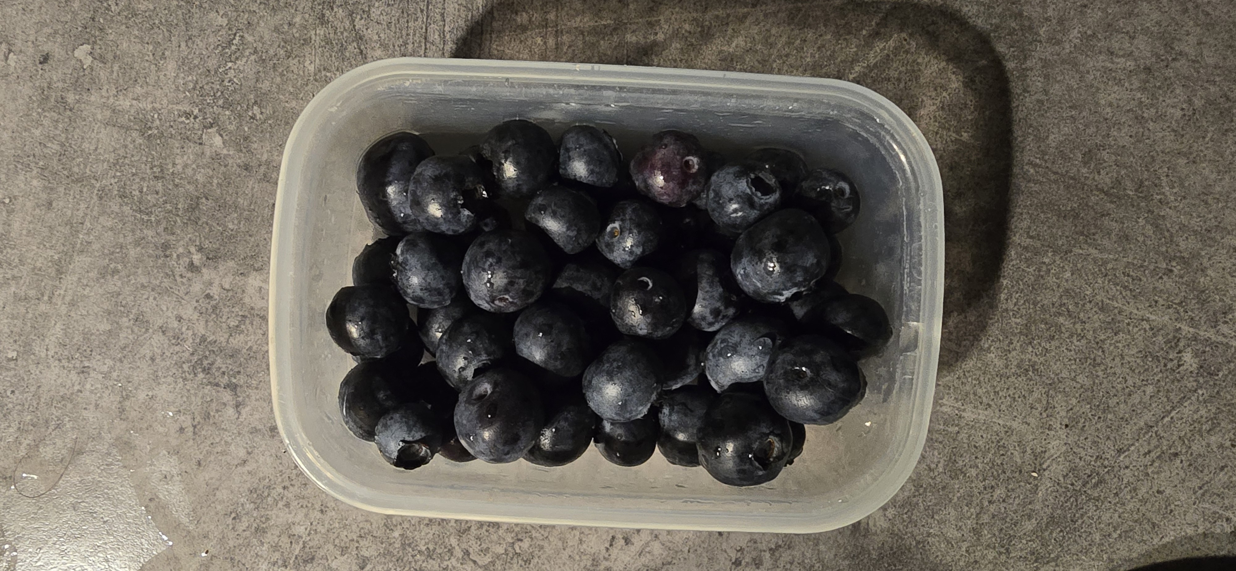 Fresh Blueberries