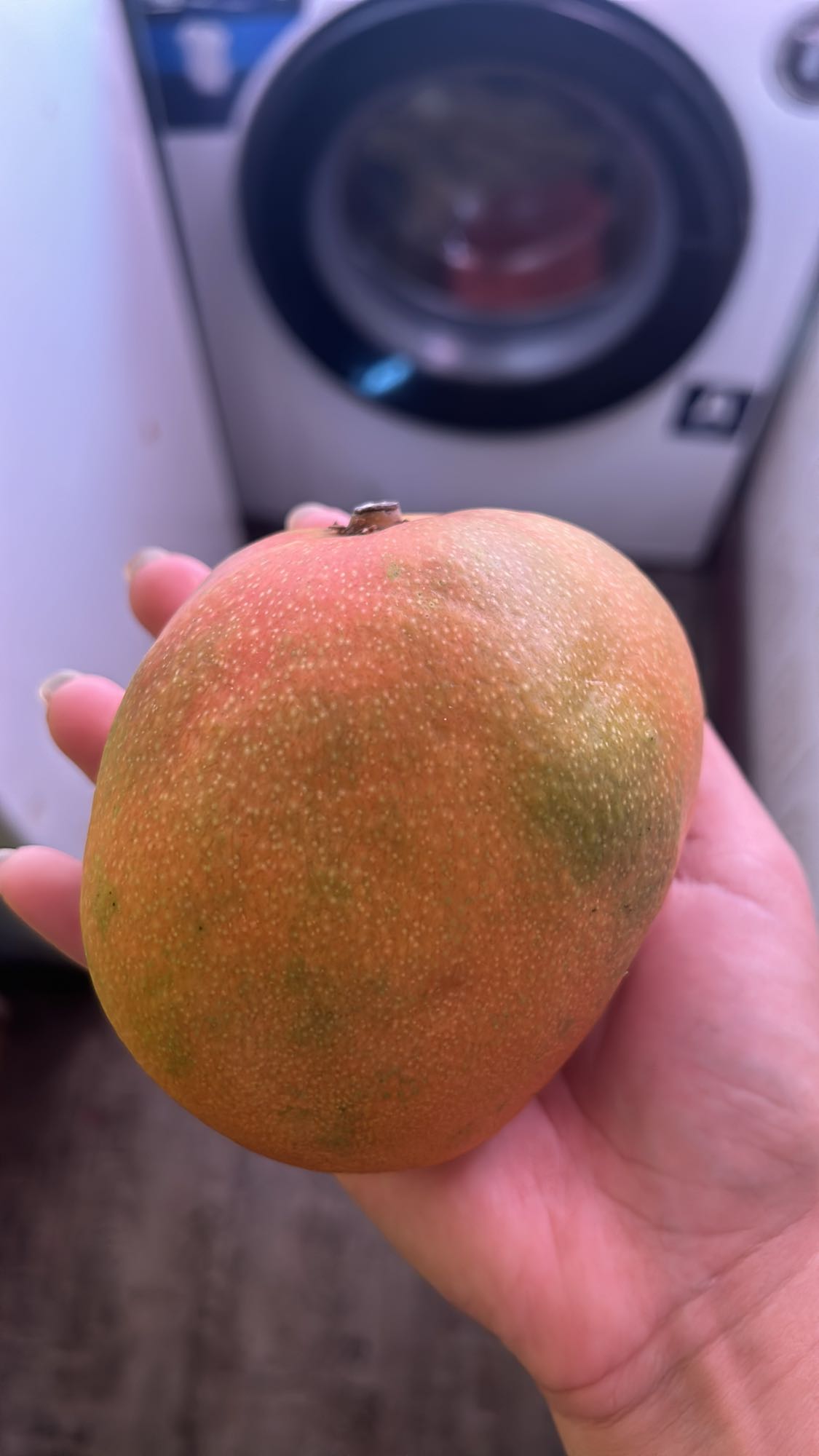 Mango entero