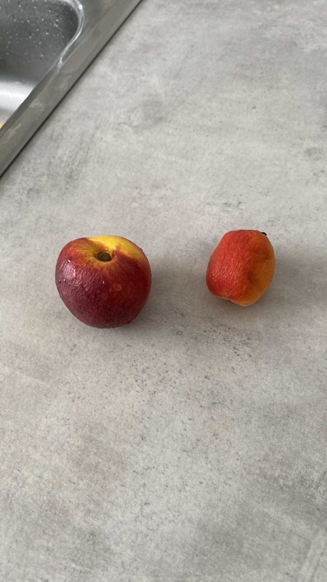 Nectarine und Aprikose