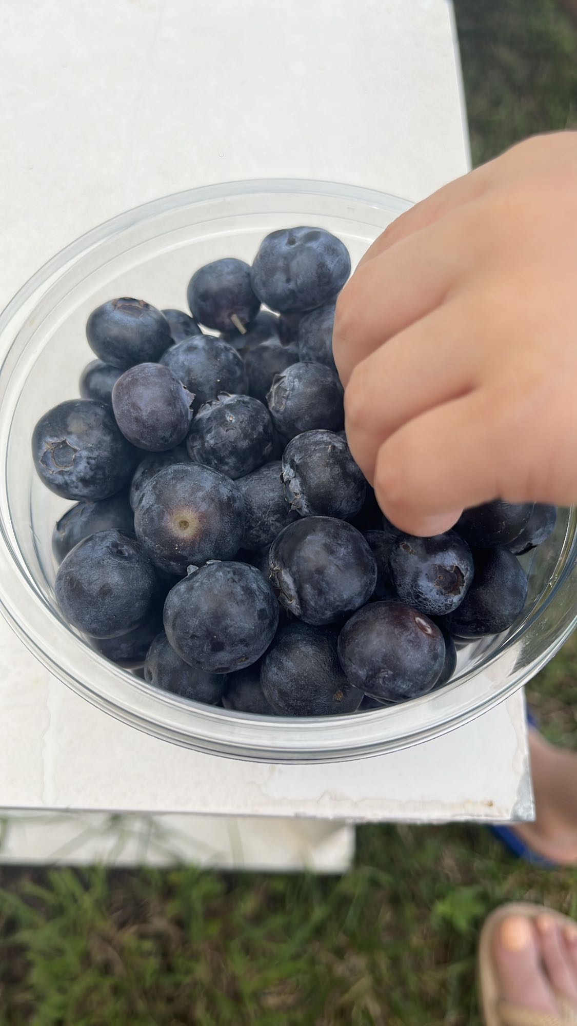 Bol de myrtilles fraîches