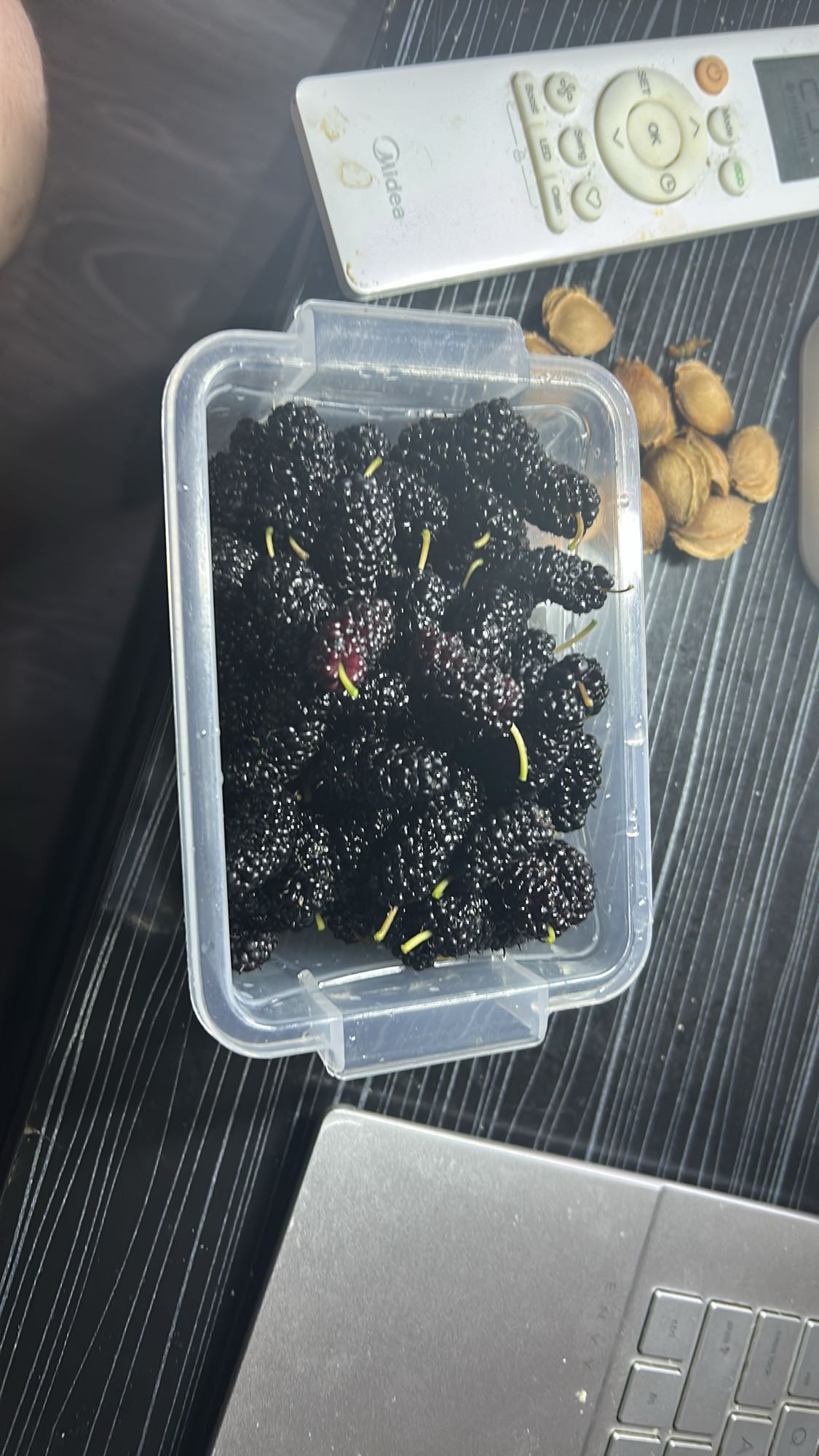 Fresh Black Mulberries