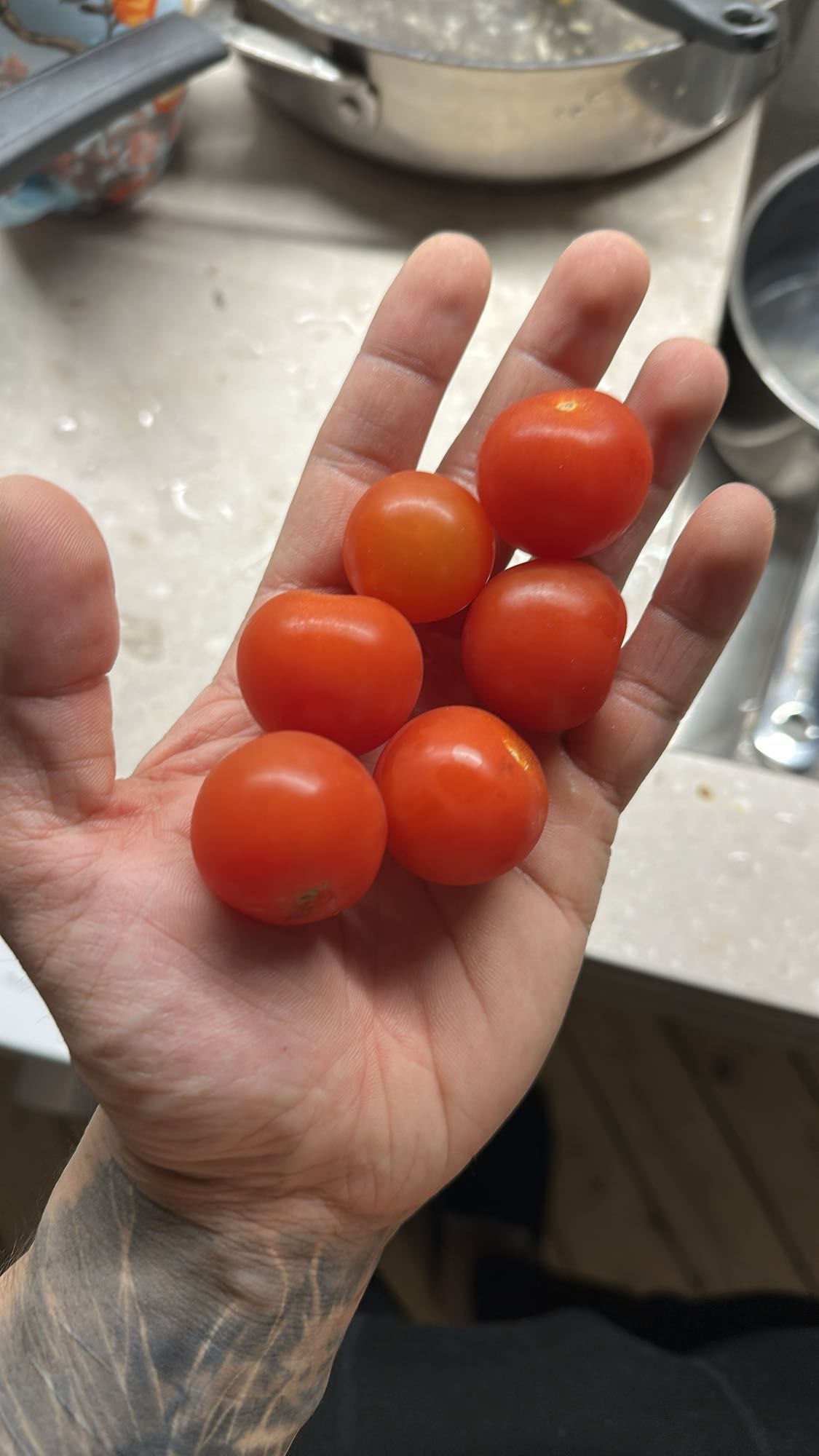 Körsbärstomater i handen