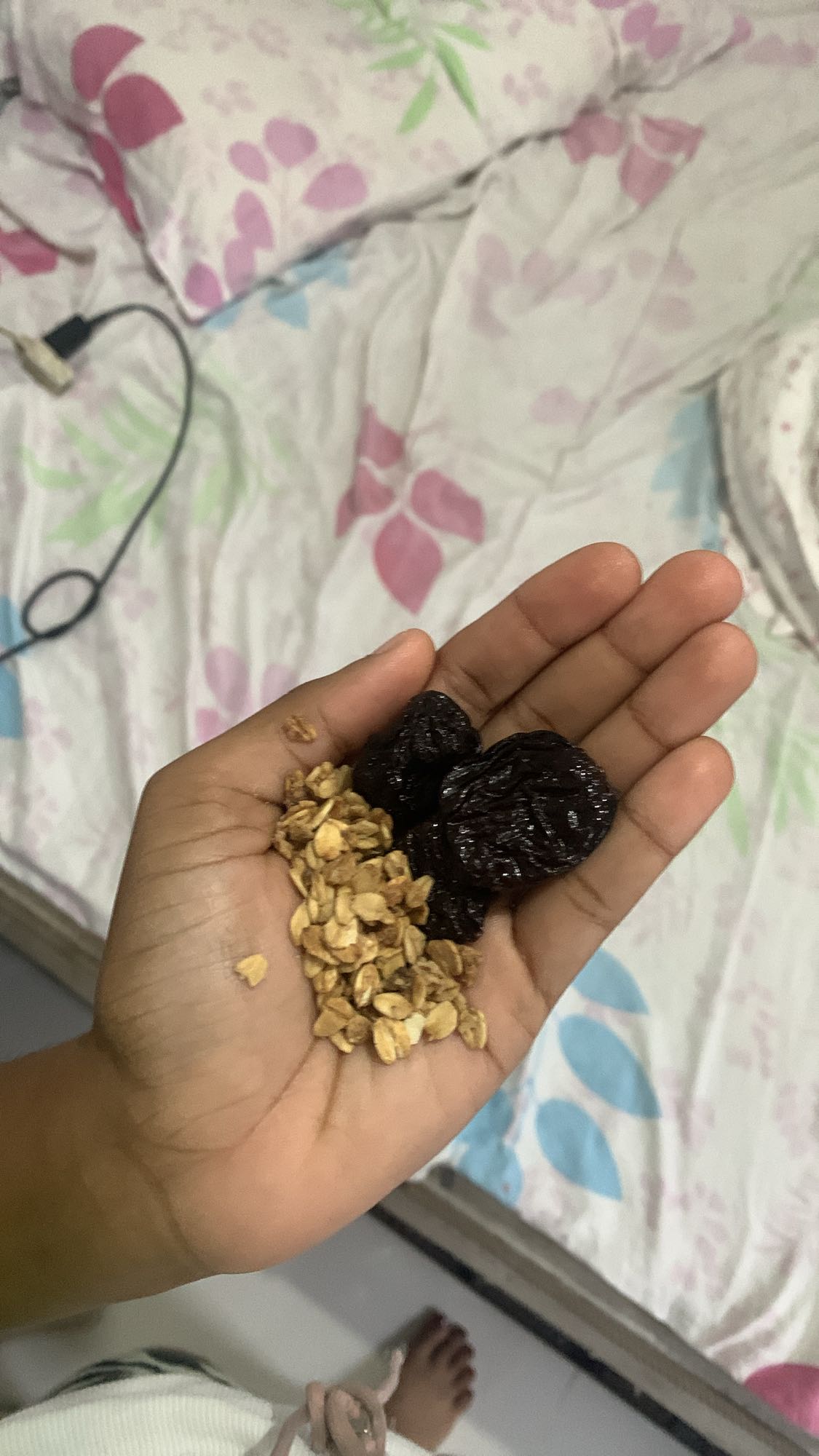 Avena y ciruelas pasas