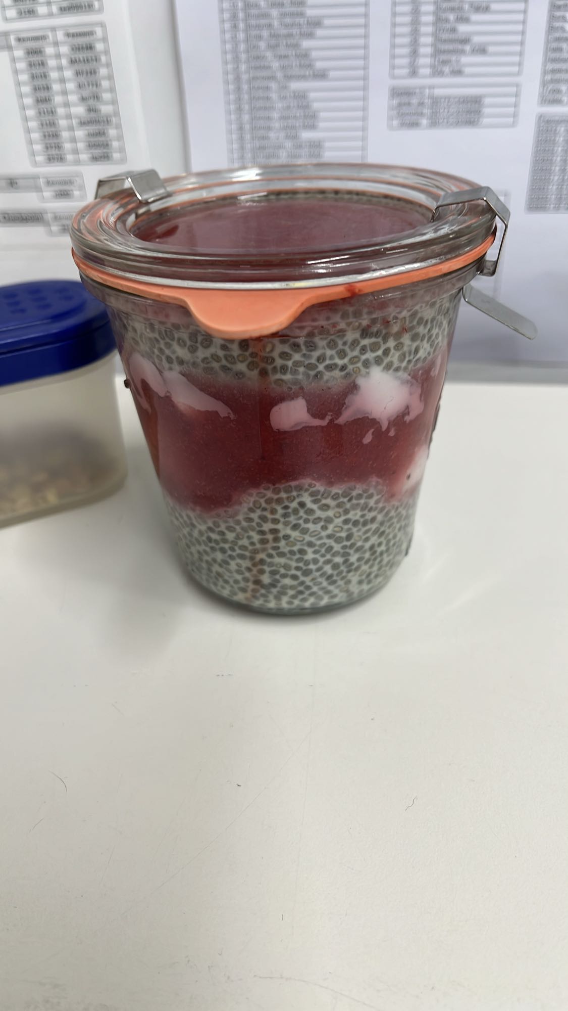 Chiapudding mit Beeren