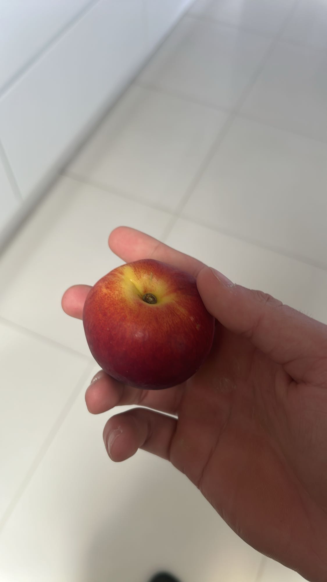 kleine nectarine