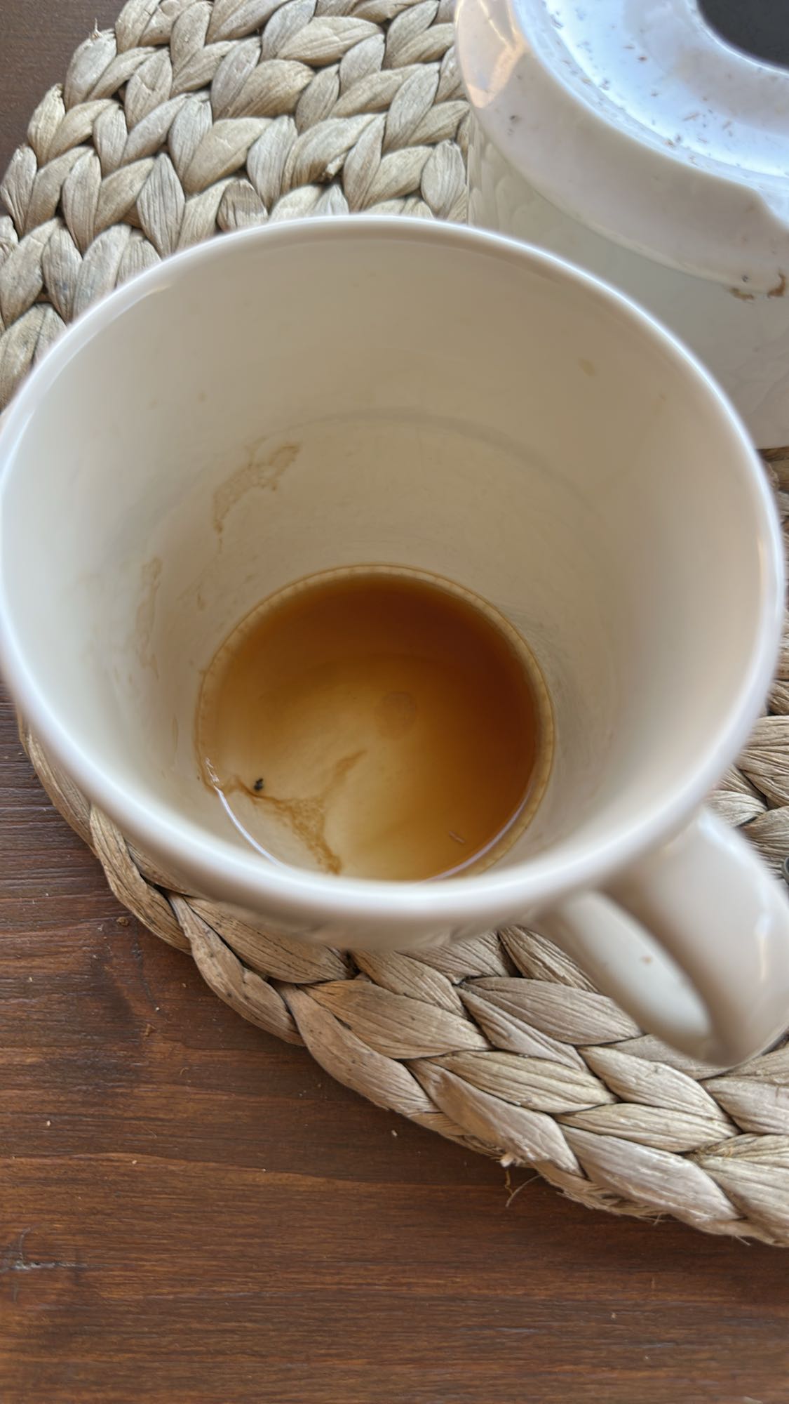 restos de café solo