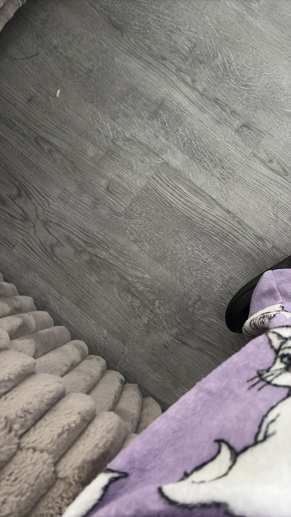 aucun aliment visible