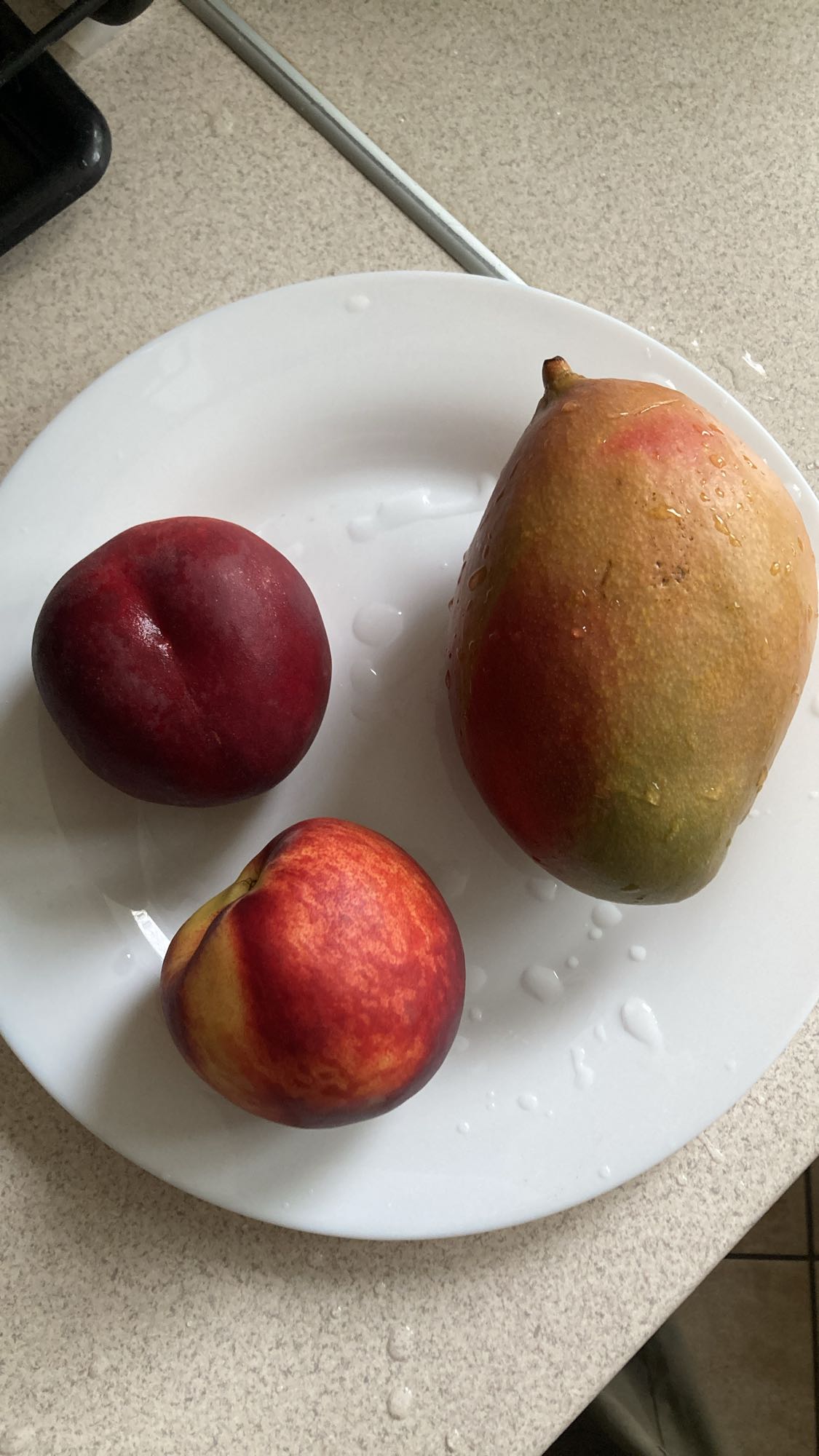 Mango and Stone Fruits