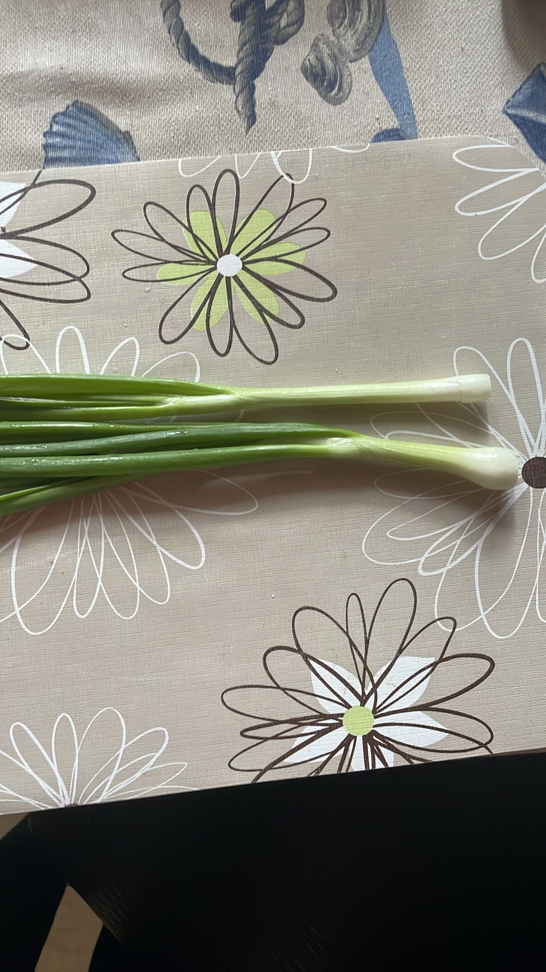 Ceapă verde proaspătă