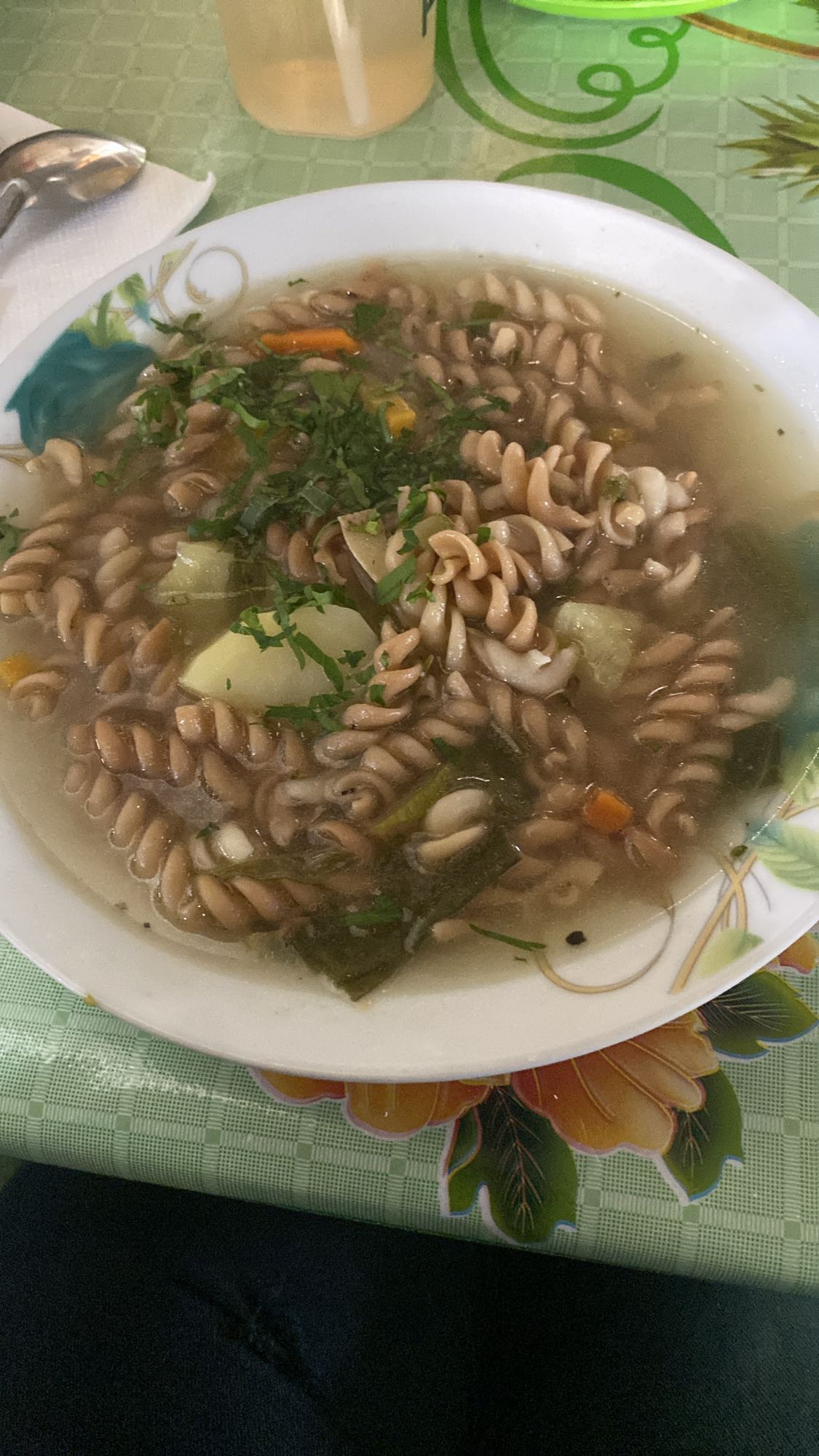 sopa de pasta con verduras