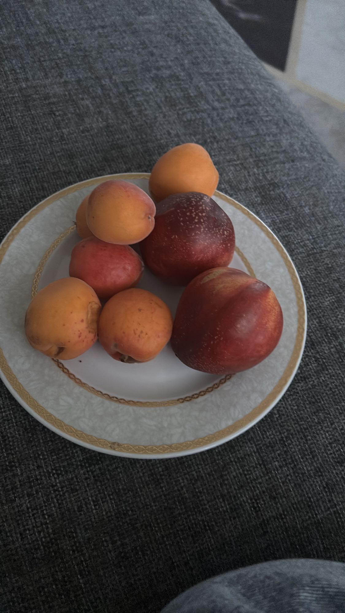 Tallrik med stenfrukter