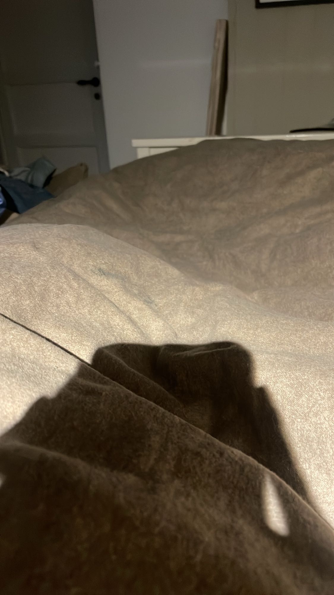 Räkor, brie, sallad, jordgubbar och cola zero