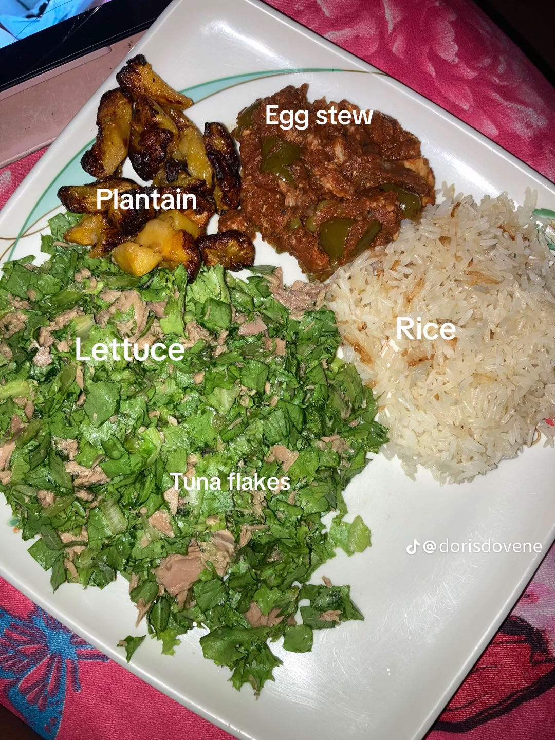 Rice, stew, plantain & salad