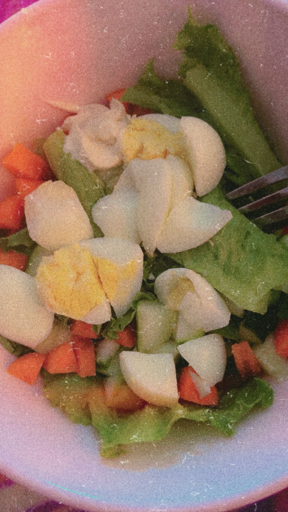 Egg Veggie Salad