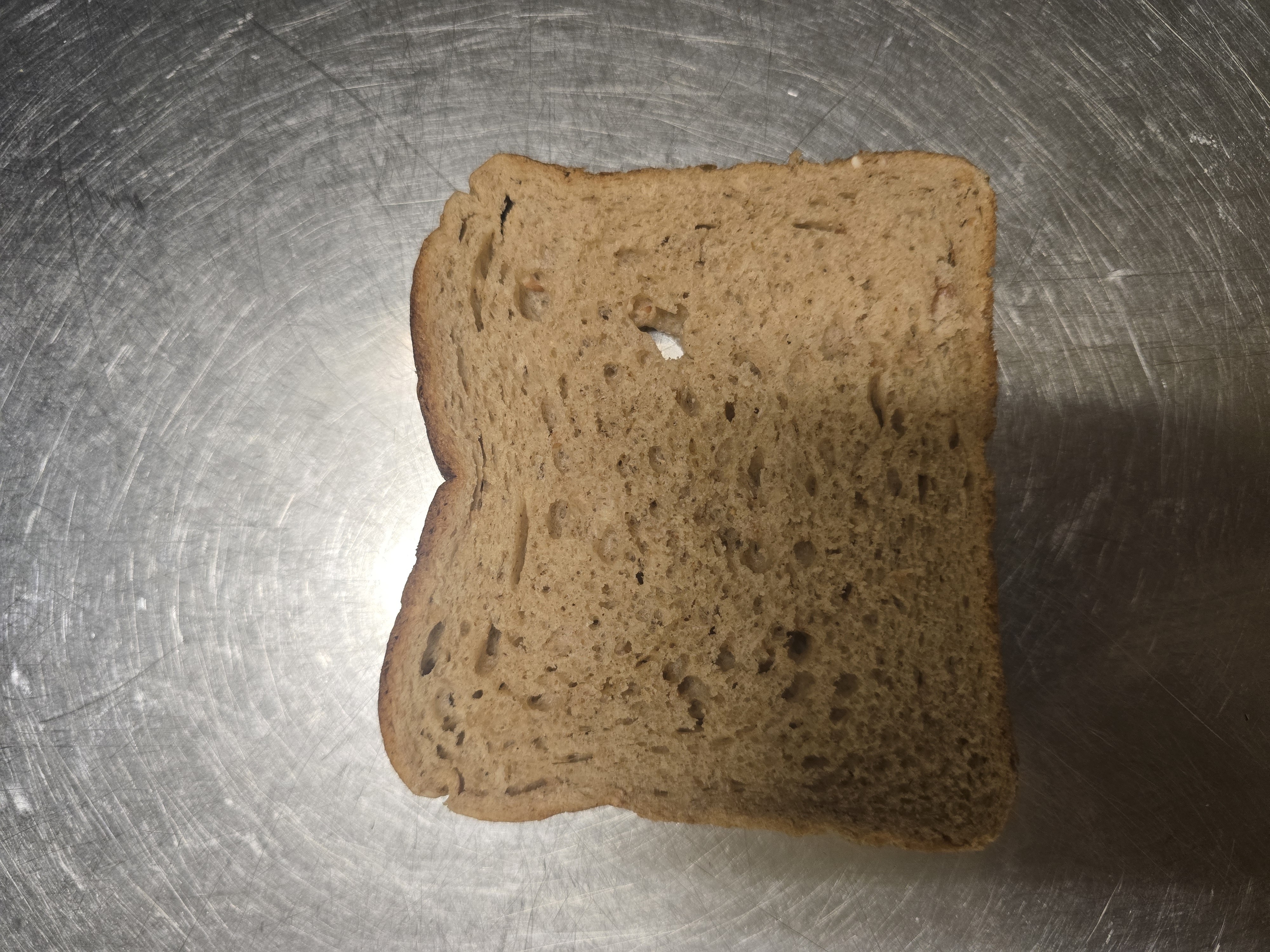 Whole grain bread slice