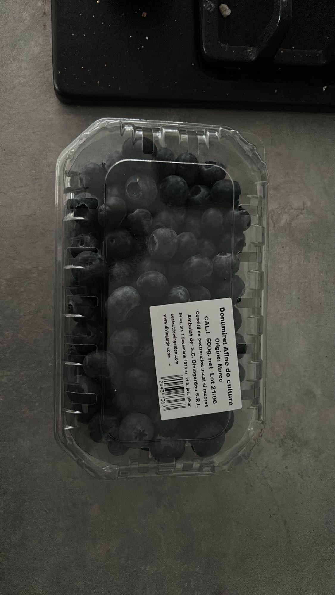 Fresh Blueberries