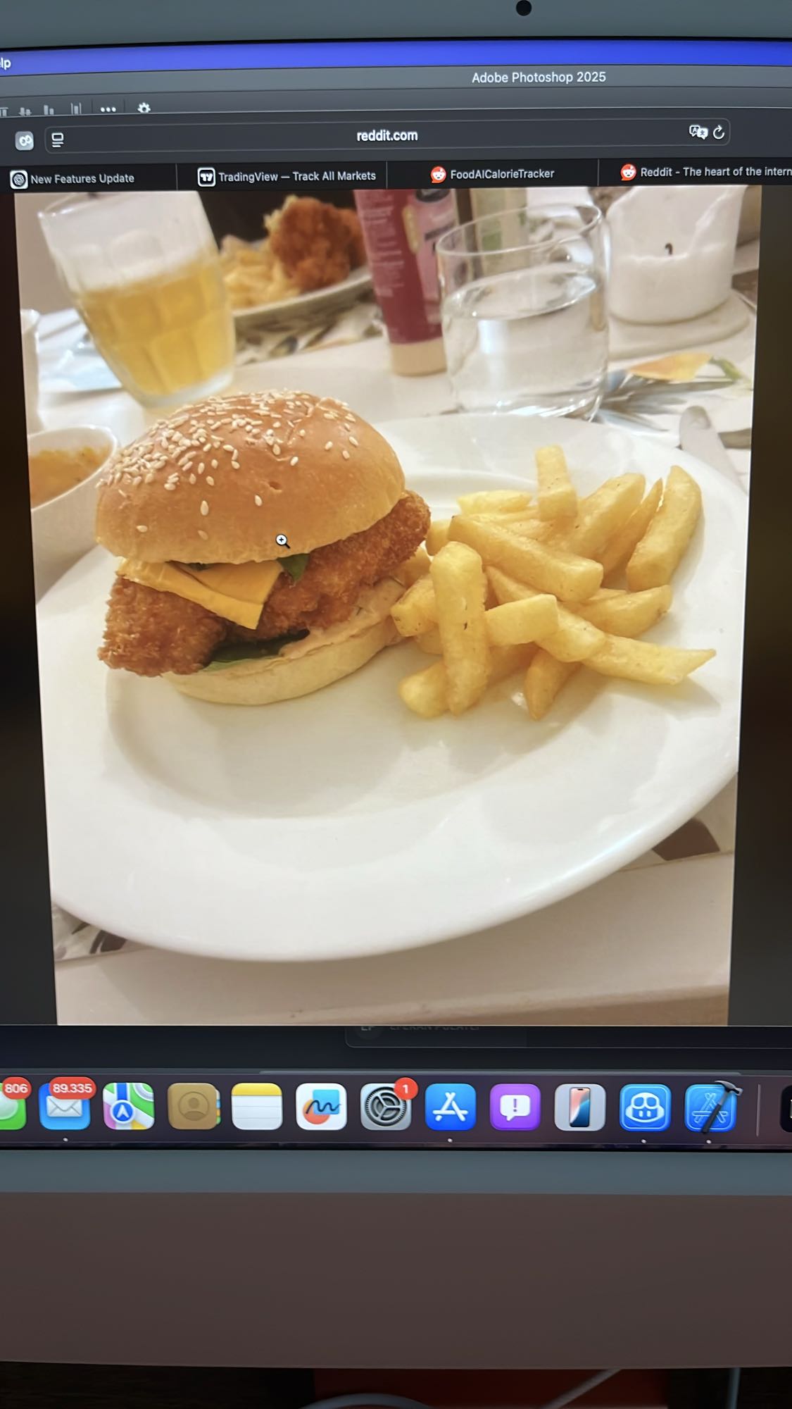 Fish burger with fries