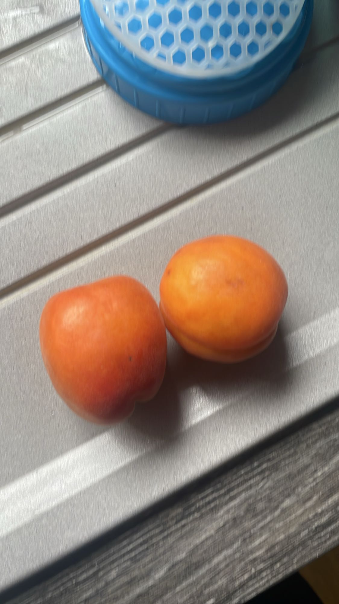 Deux abricots frais