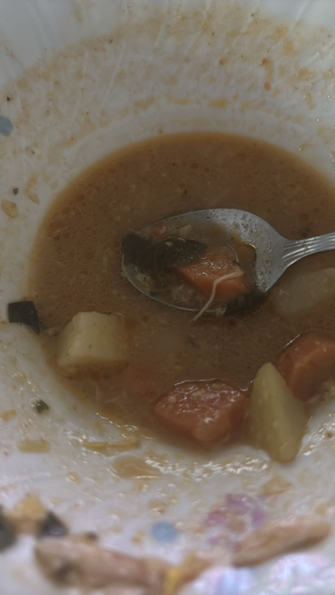 Vegetable soup remnants