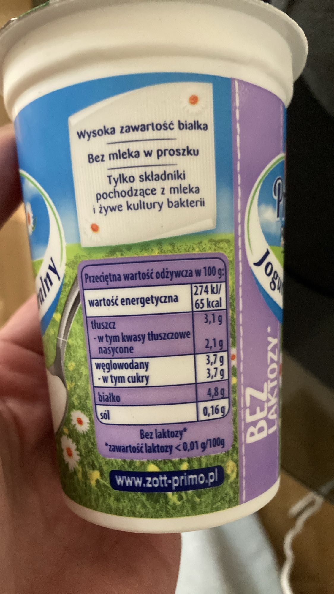 Lactose-Free Yogurt