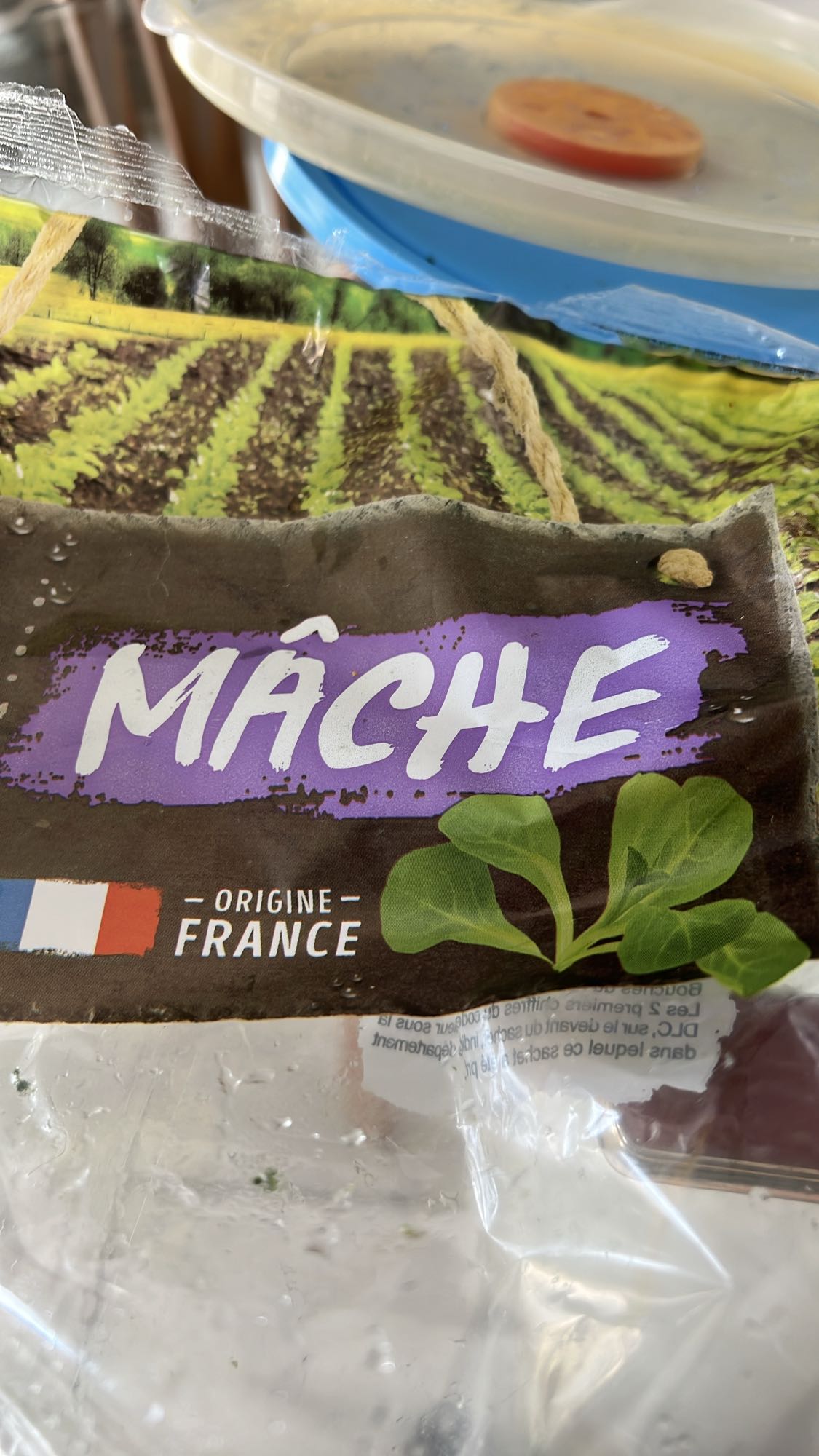 Salade de mâche