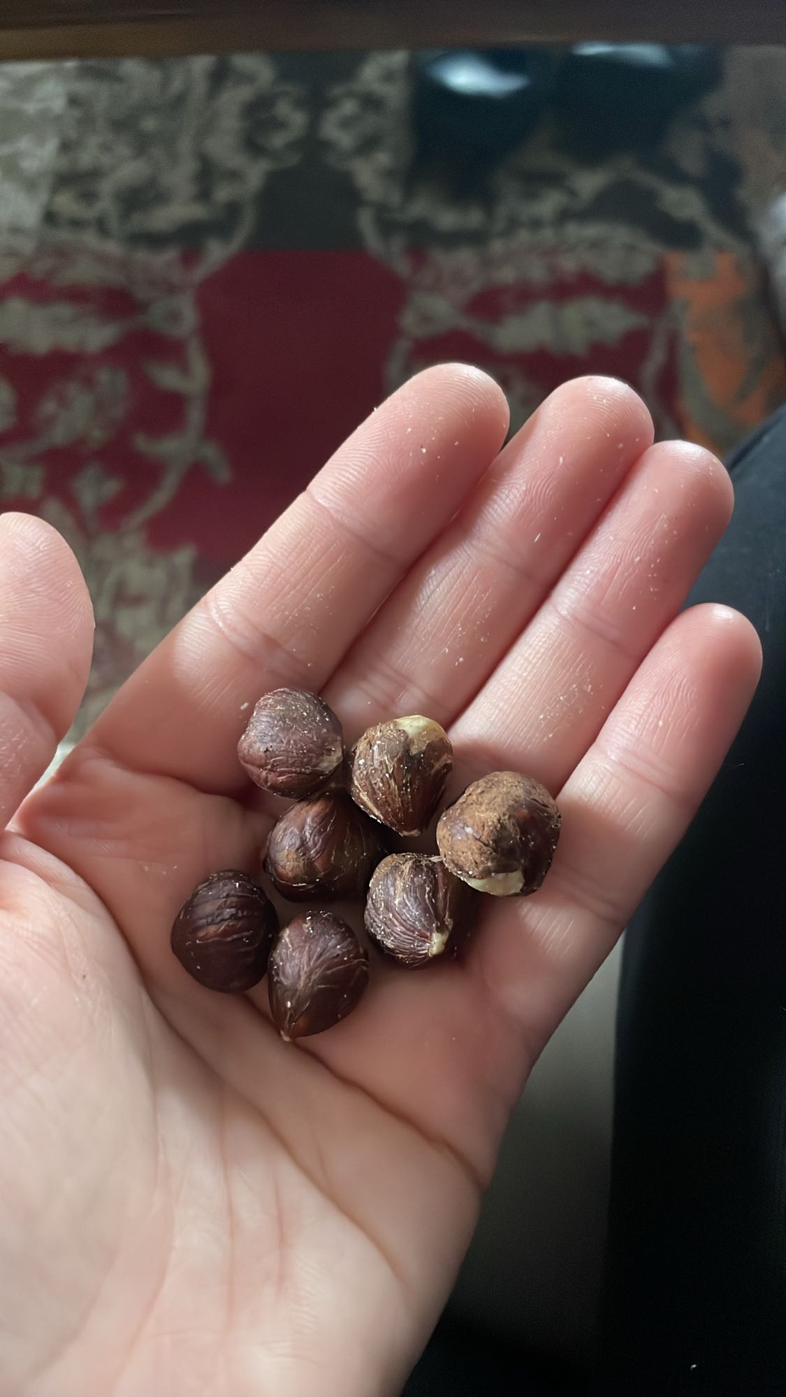 Handful of Hazelnuts