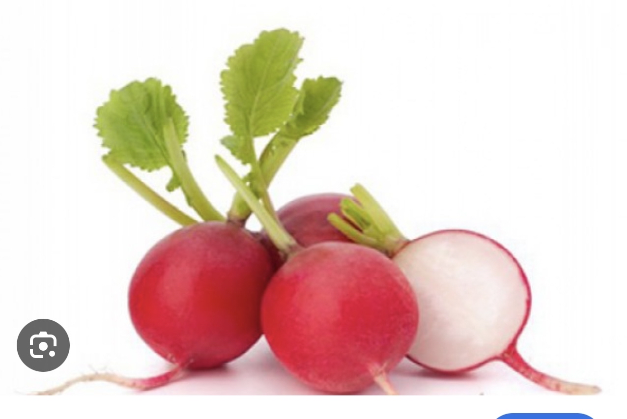 Fresh Radishes