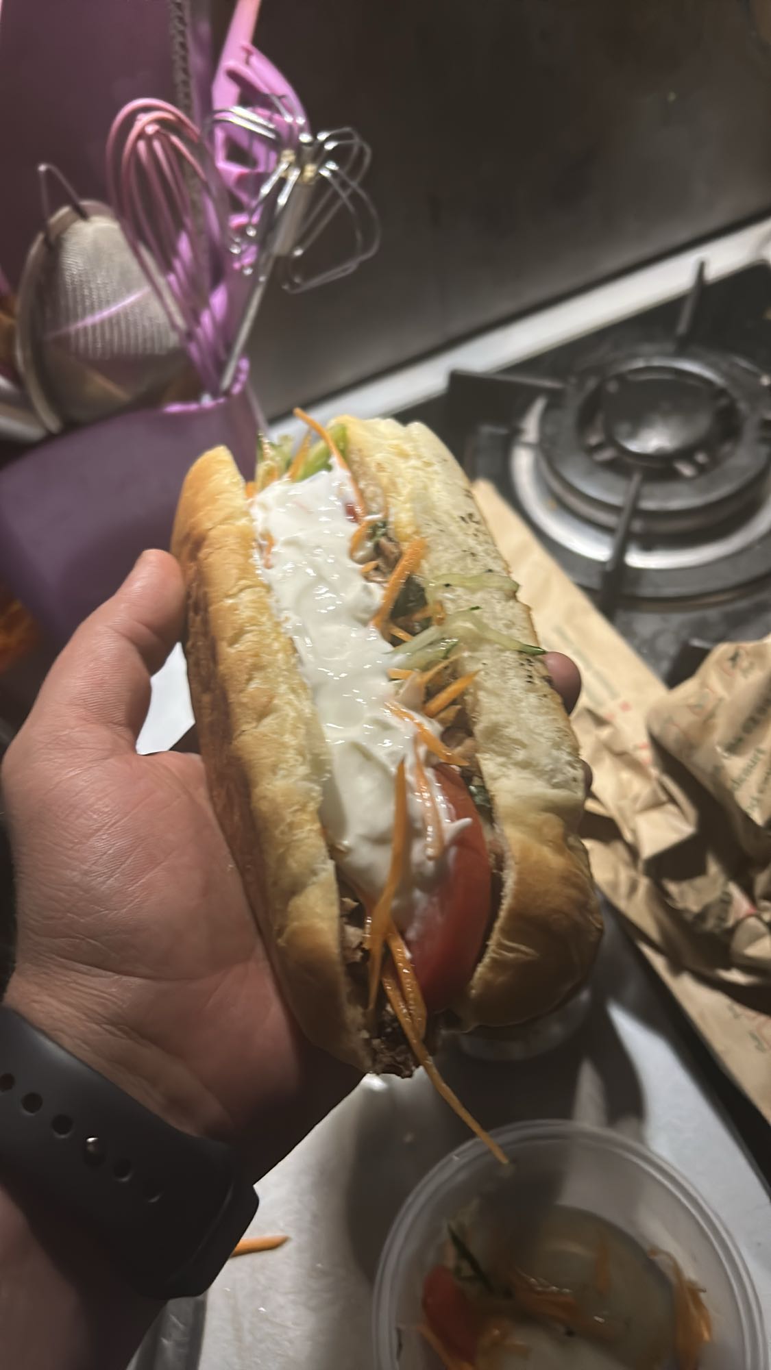 Gyro Pork Sandwich with Yogurt and Veggies