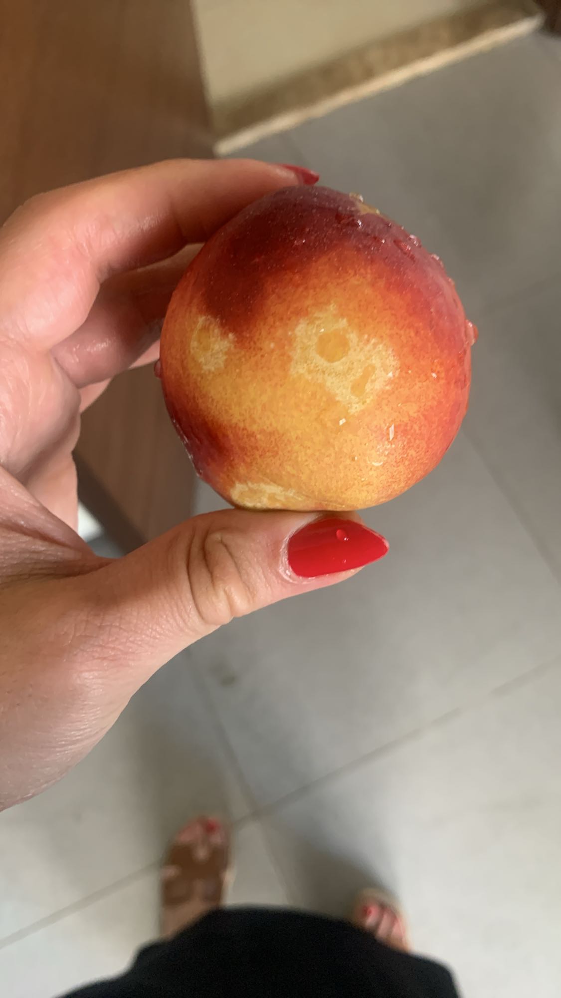 Fresh Nectarine
