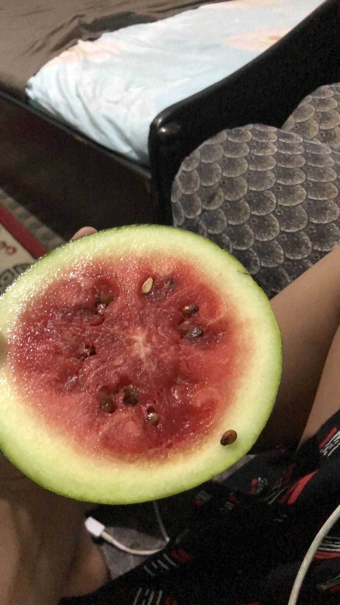 Half Watermelon Slice