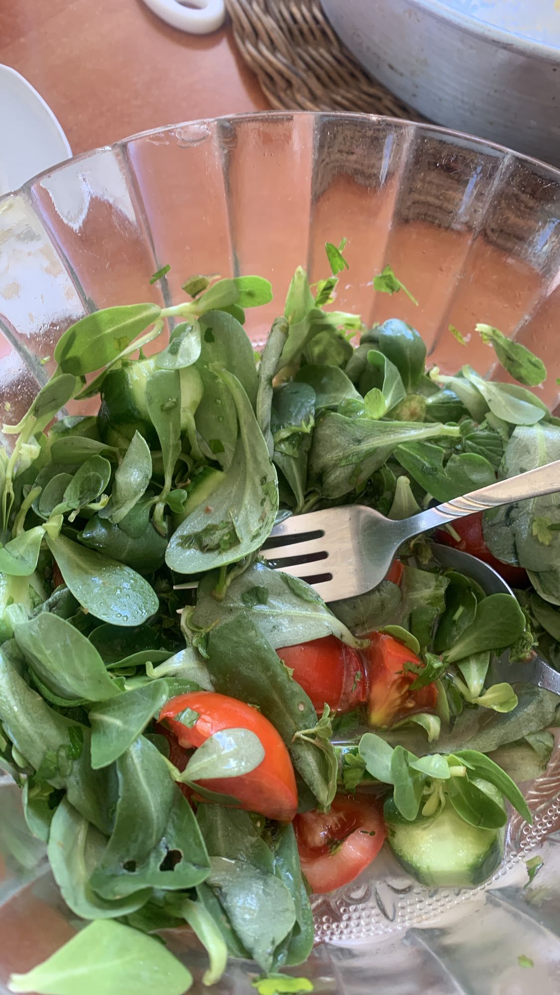 Fresh Green Salad