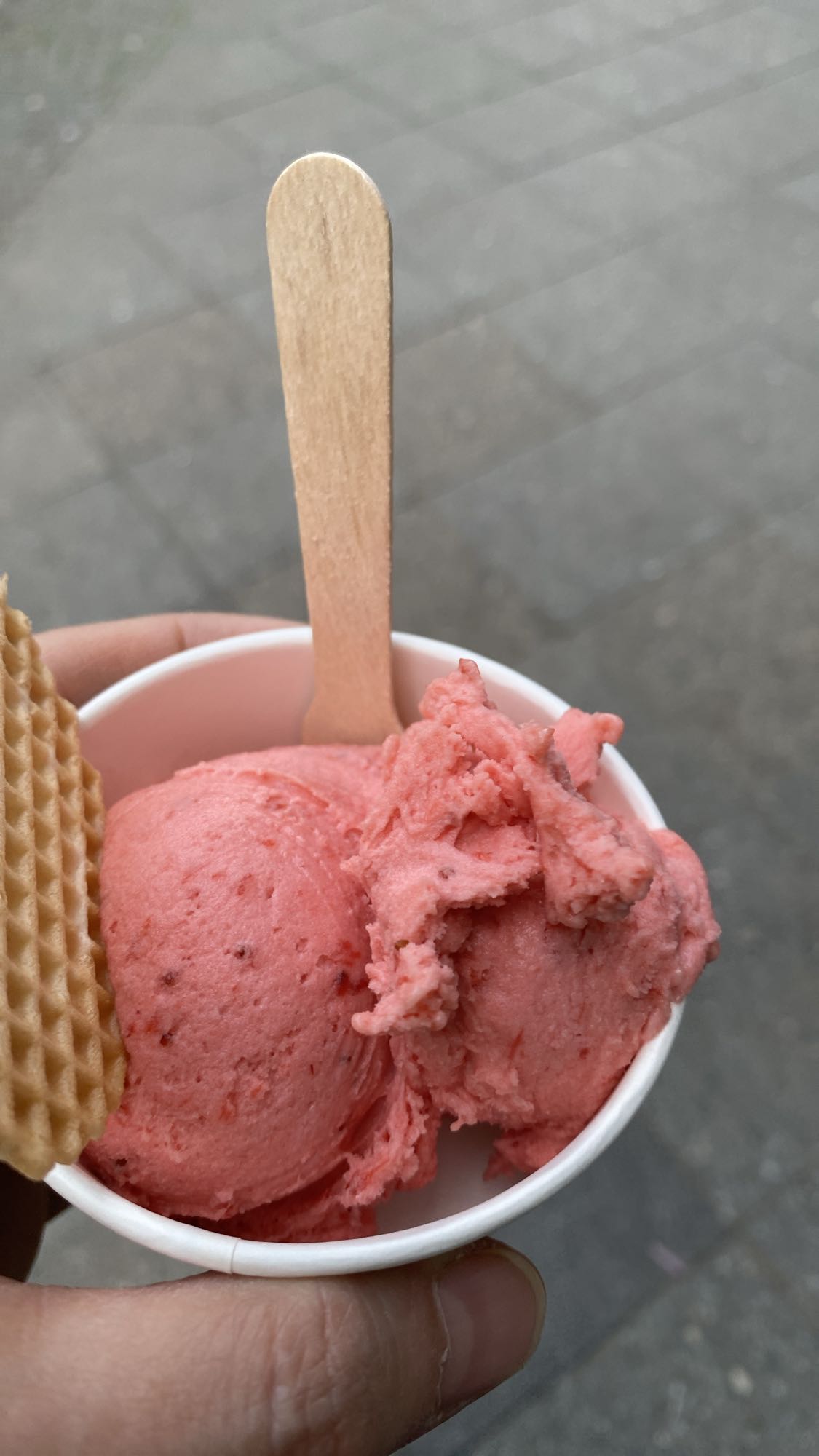 Aardbei sorbetijs met wafel