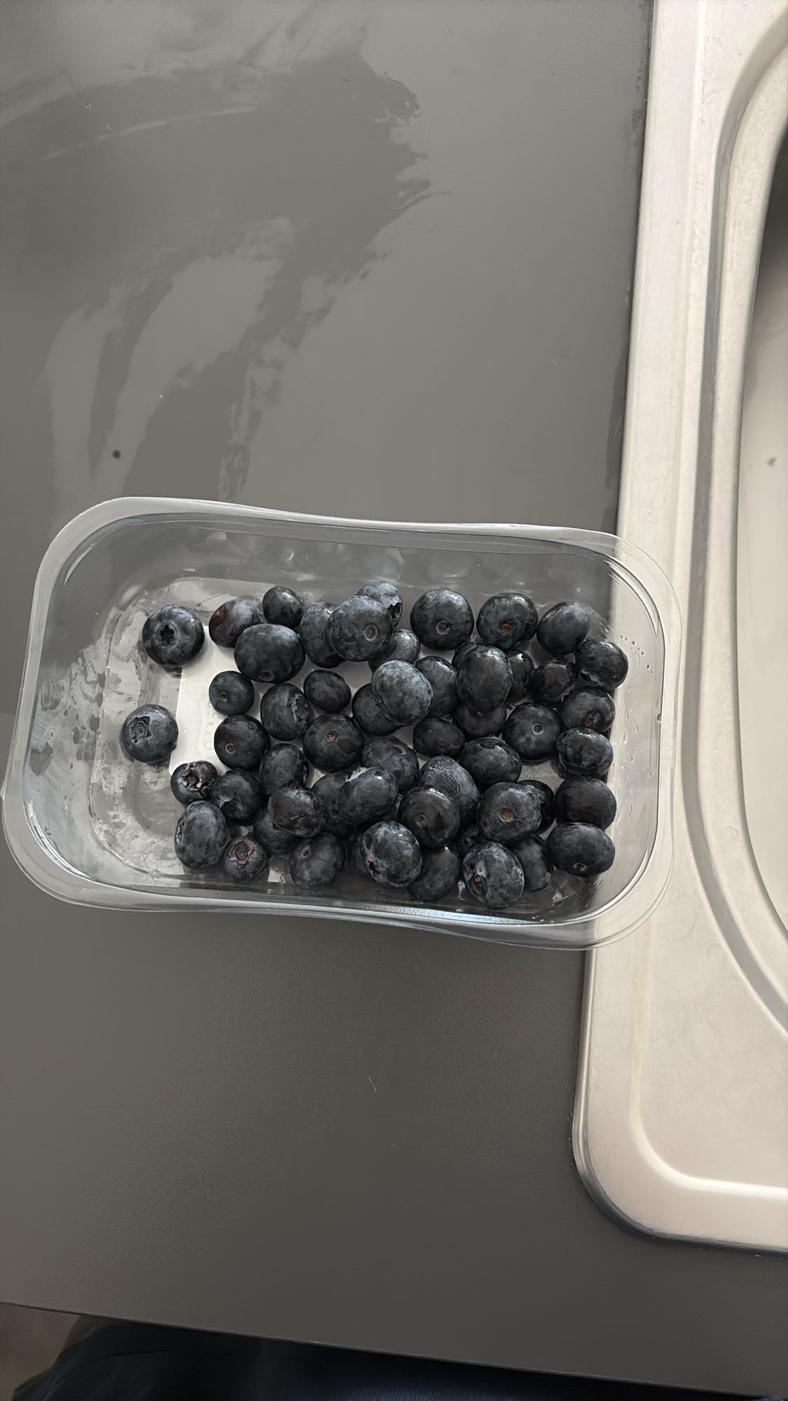 Fresh Blueberries