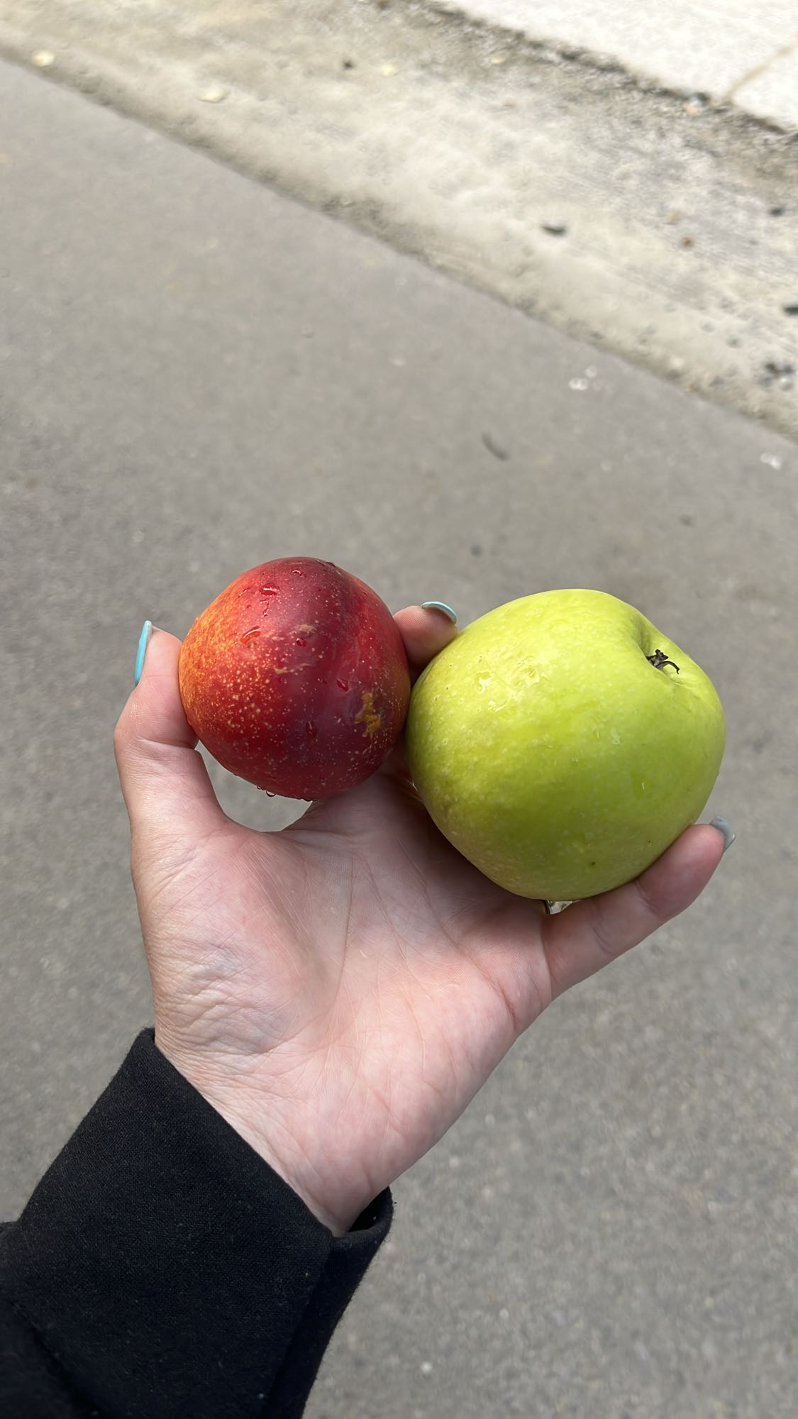 Măr și prună proaspete