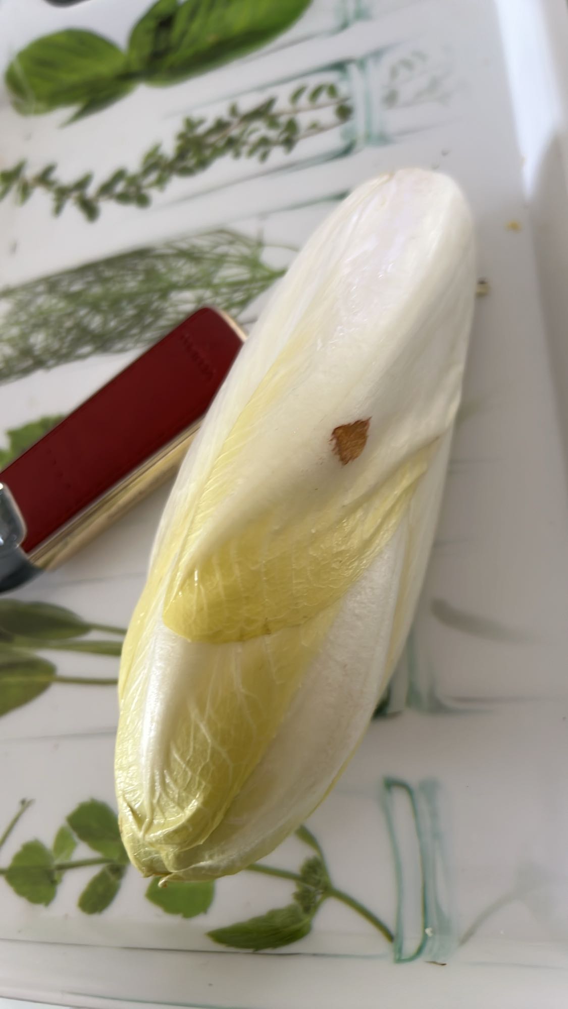 Endive fraîche