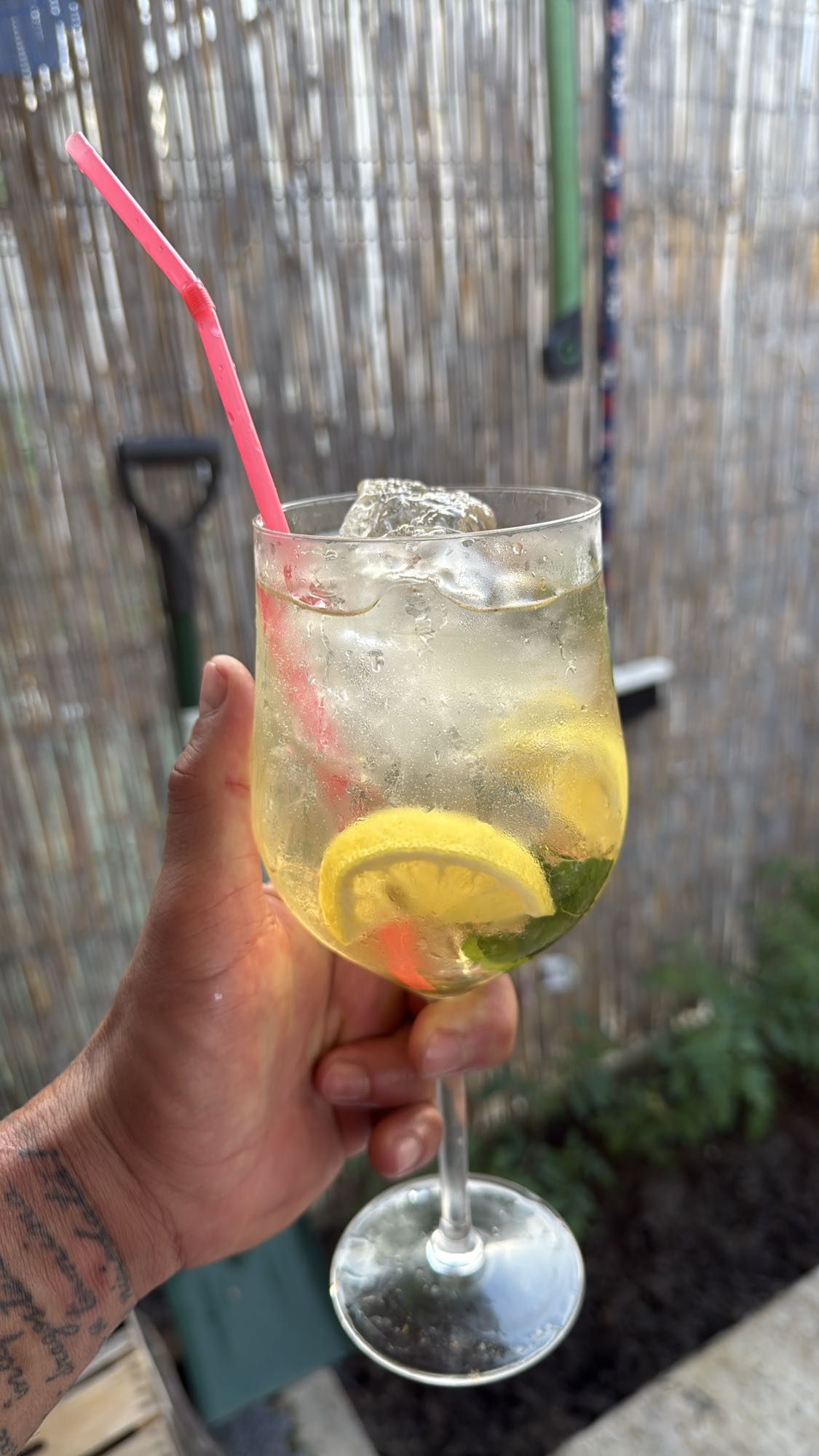 Limonadă cu gheață